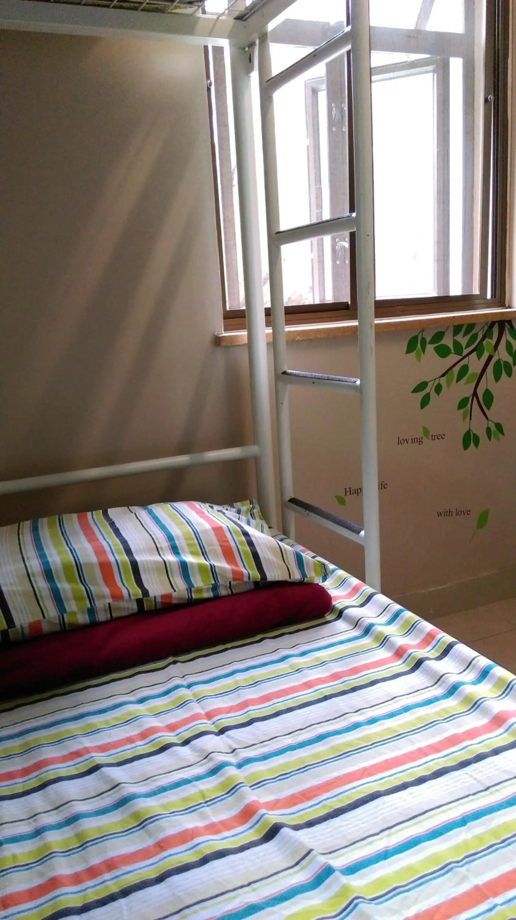 bunk bed, Bed in YHA Ngong Ping SG Davis Youth Hostel