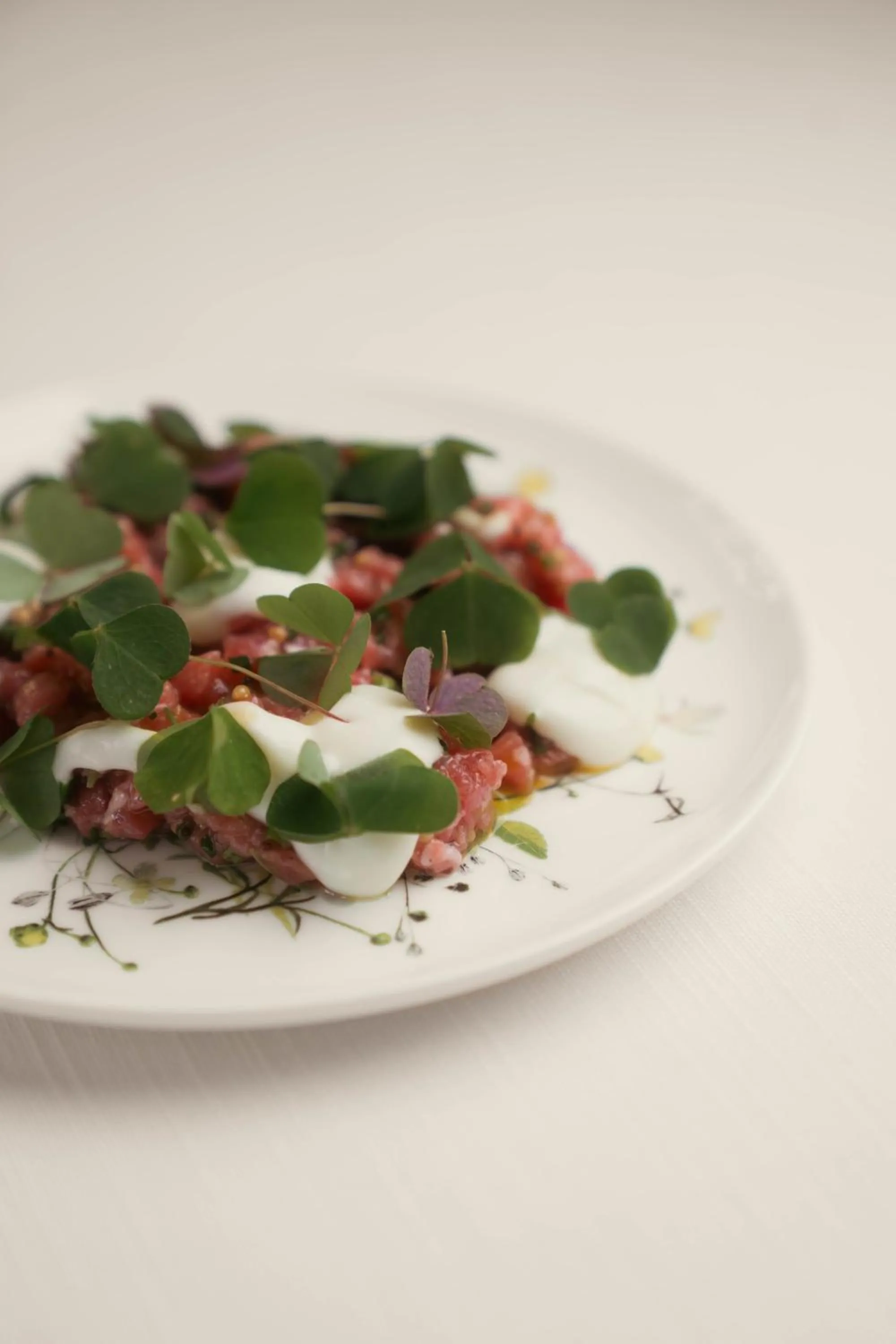 Restaurant/places to eat in Hotel Orso Grigio