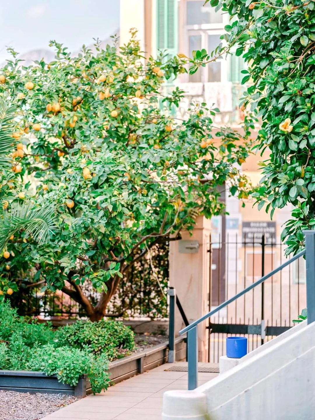 Facade/entrance in Hotel Lemon