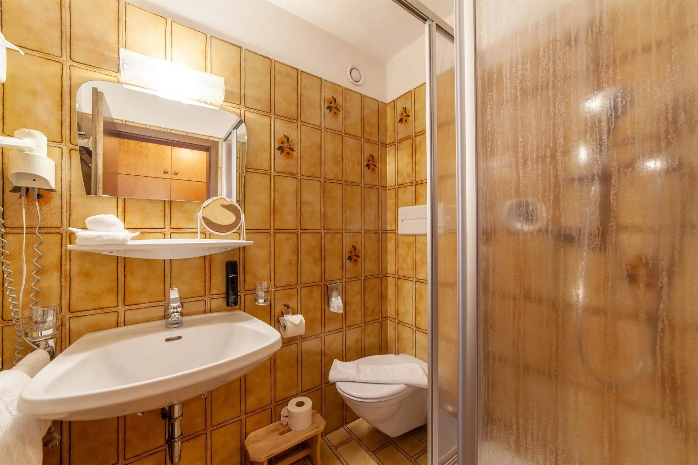 Shower in Hotel St. Pankraz