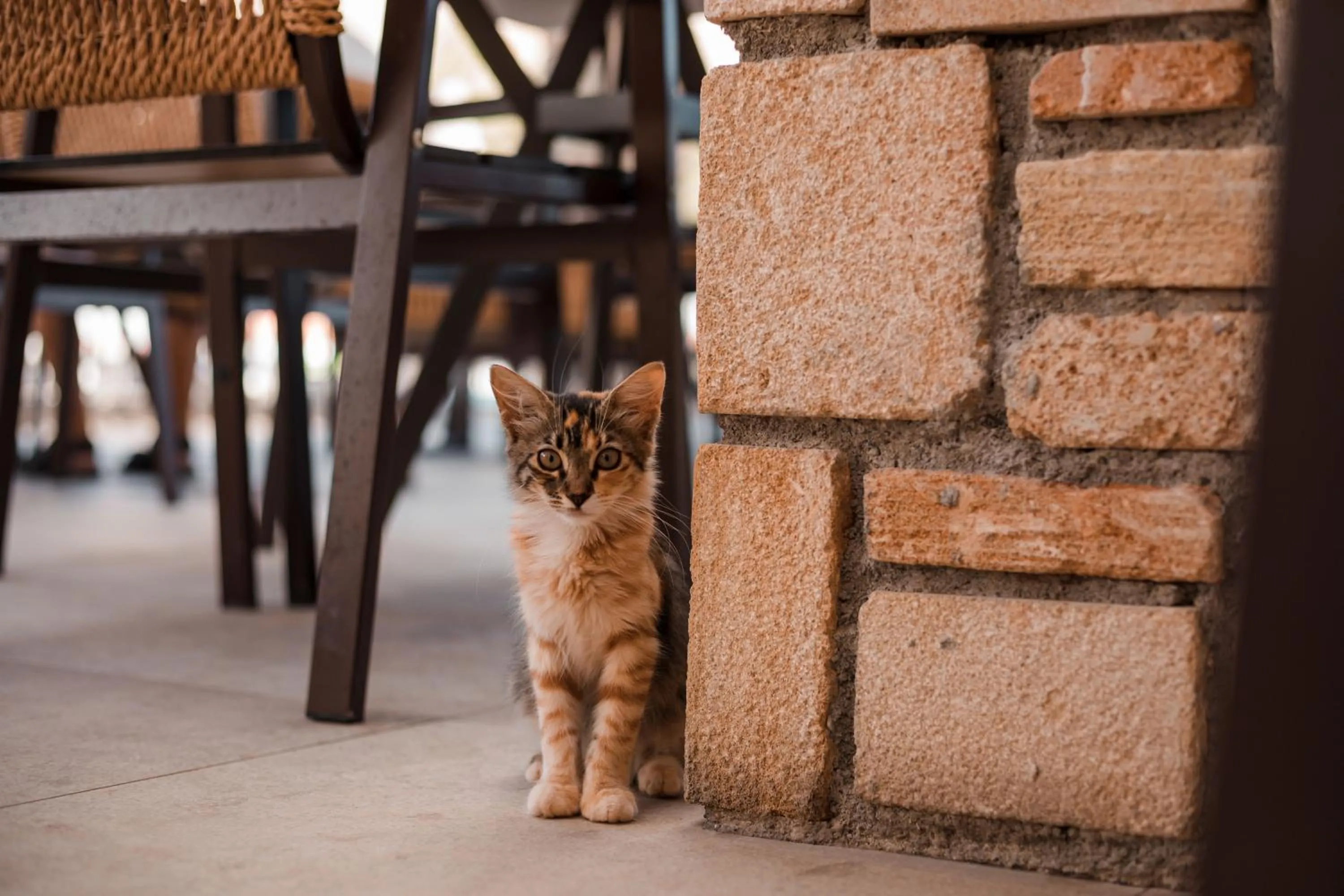 Day in Lambis Studios & Apartments