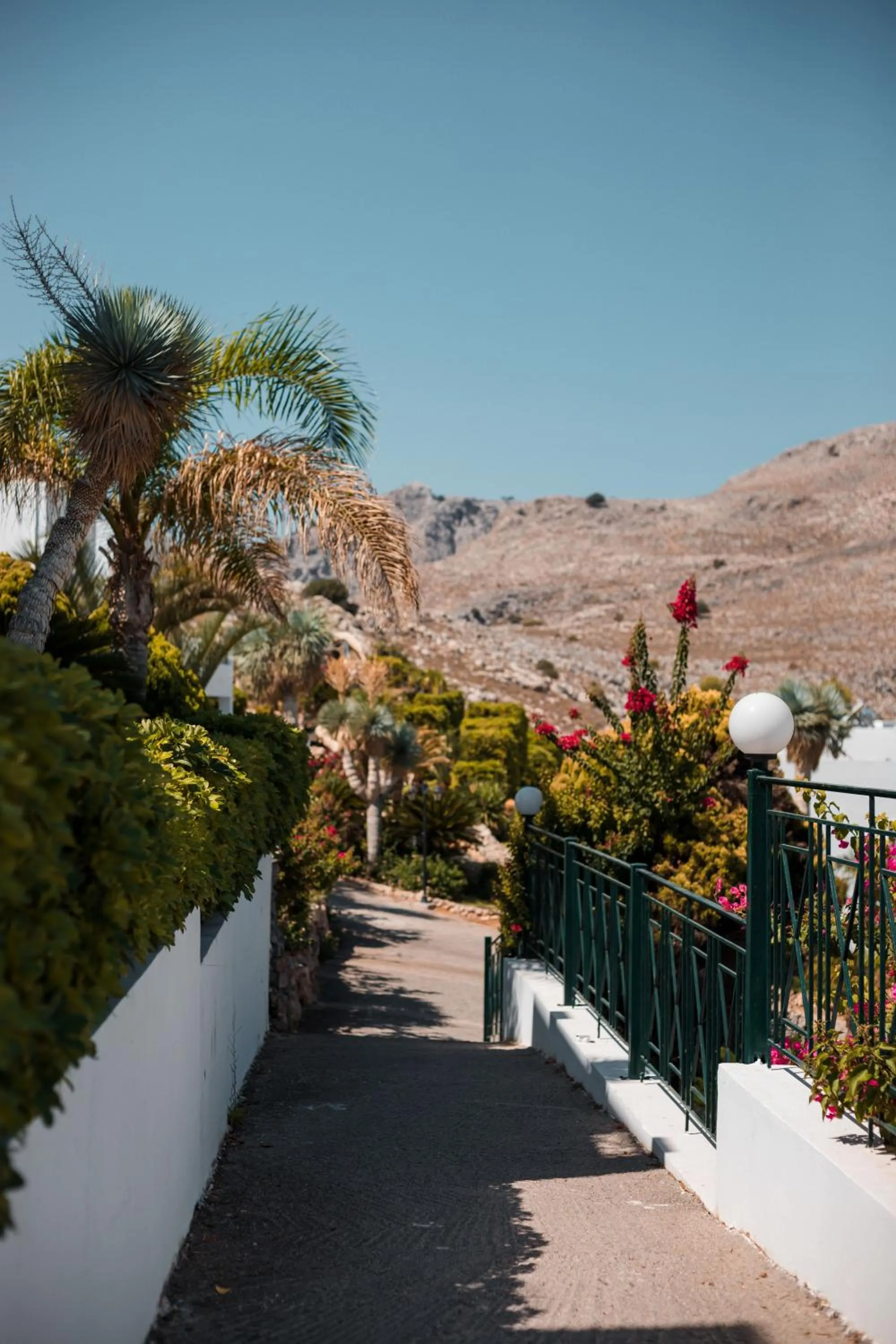 Natural landscape in Lambis Studios & Apartments