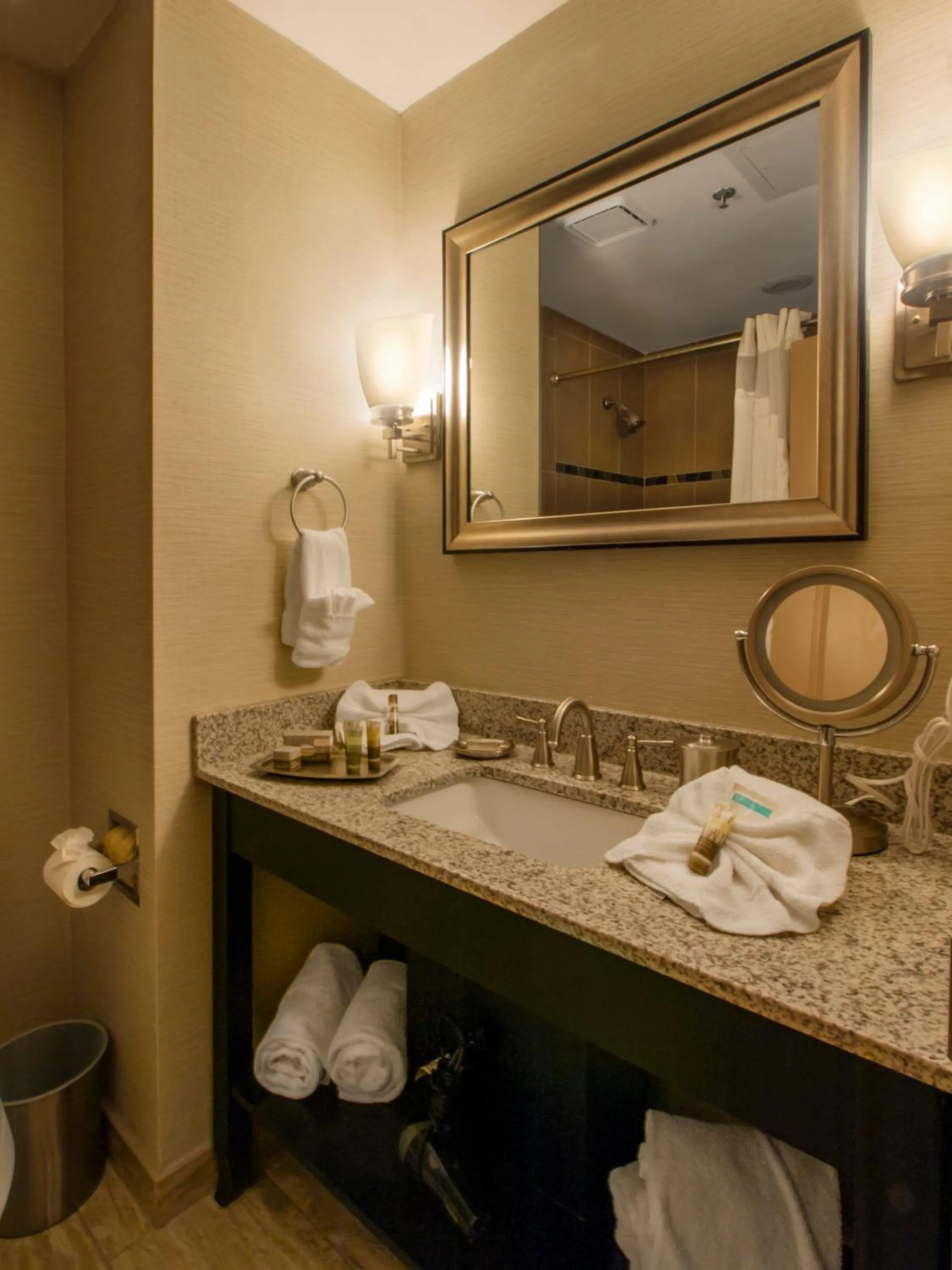 Bathroom in Hotel Ithaca