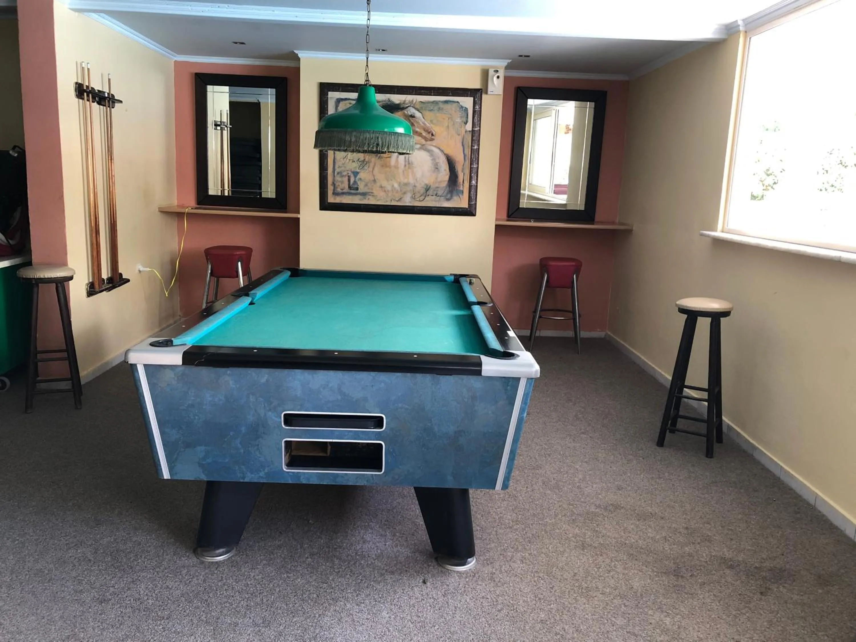 Billiard in Paradise Apartments