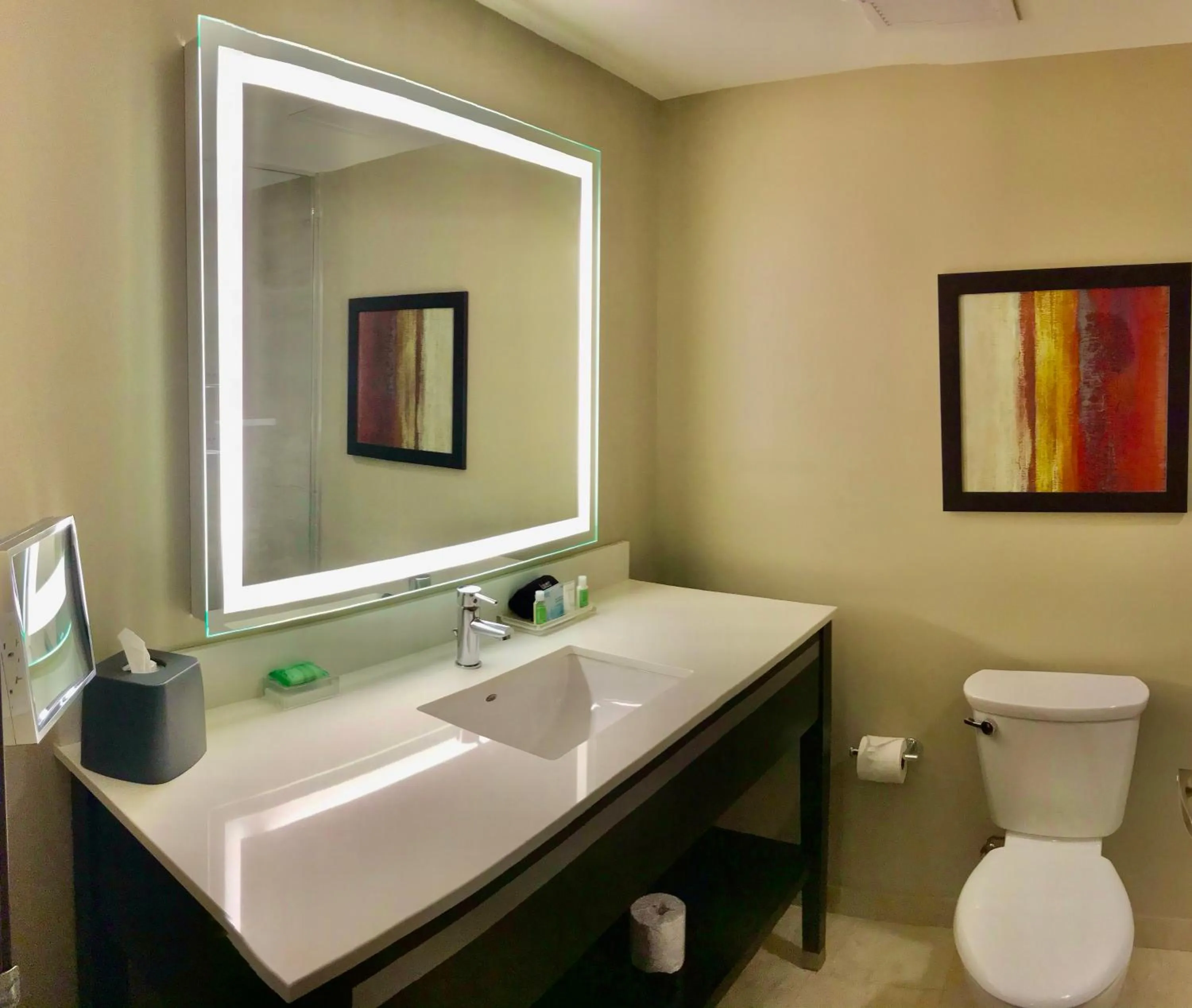 Bathroom in Holiday Inn Chicago Schaumburg by IHG
