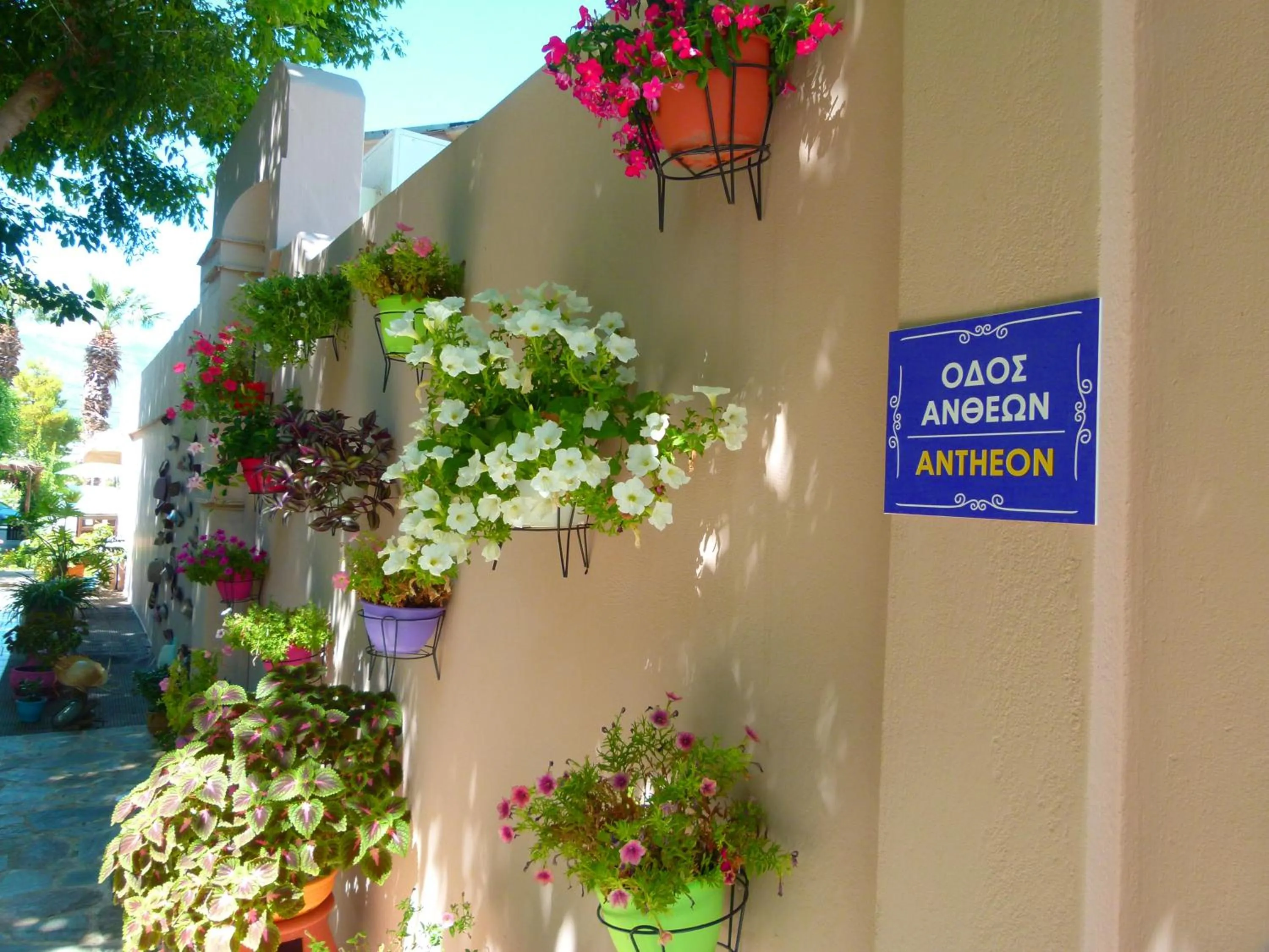 Garden in Sun Rise Hotel Apartments