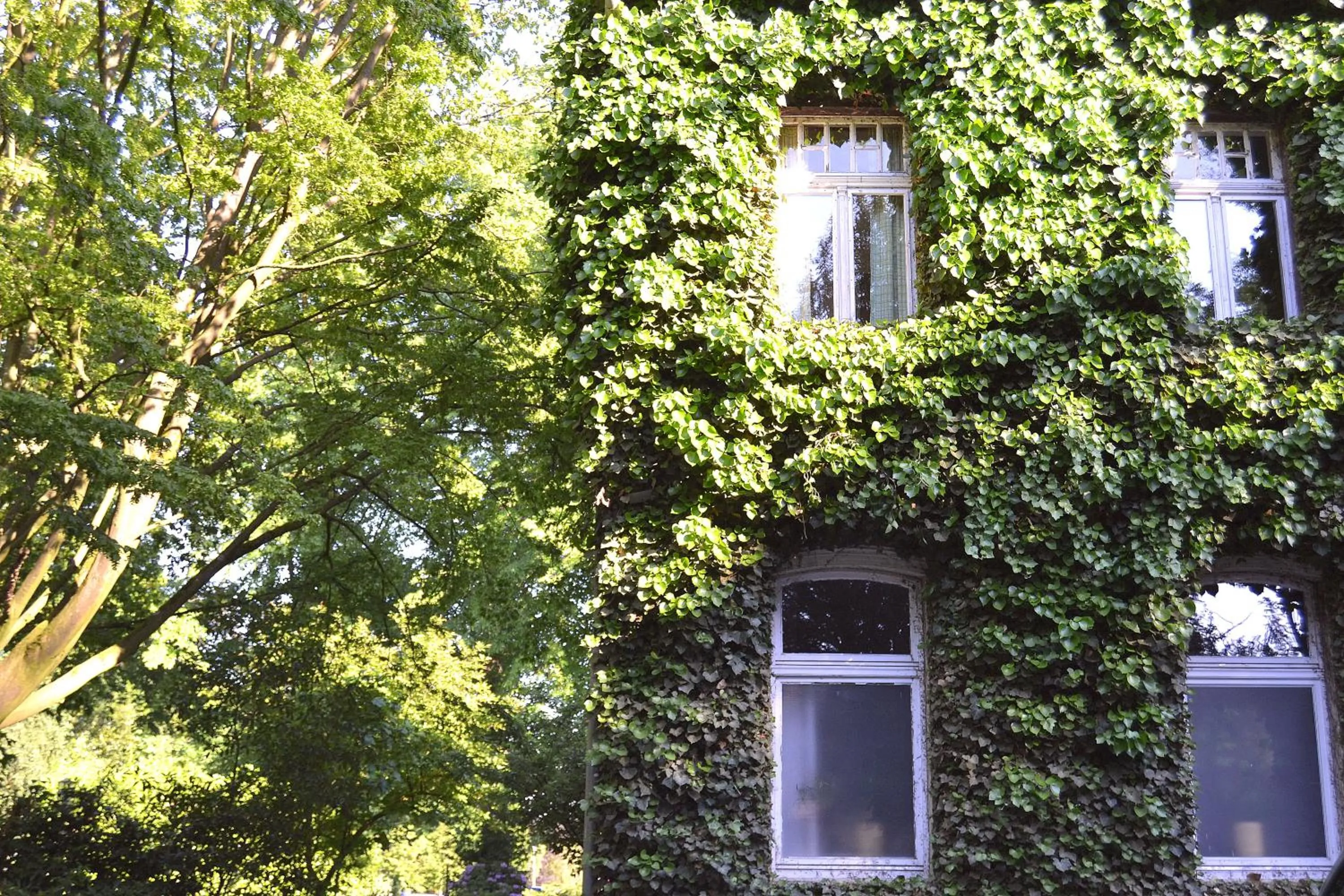 Facade/entrance in Gottesgabe