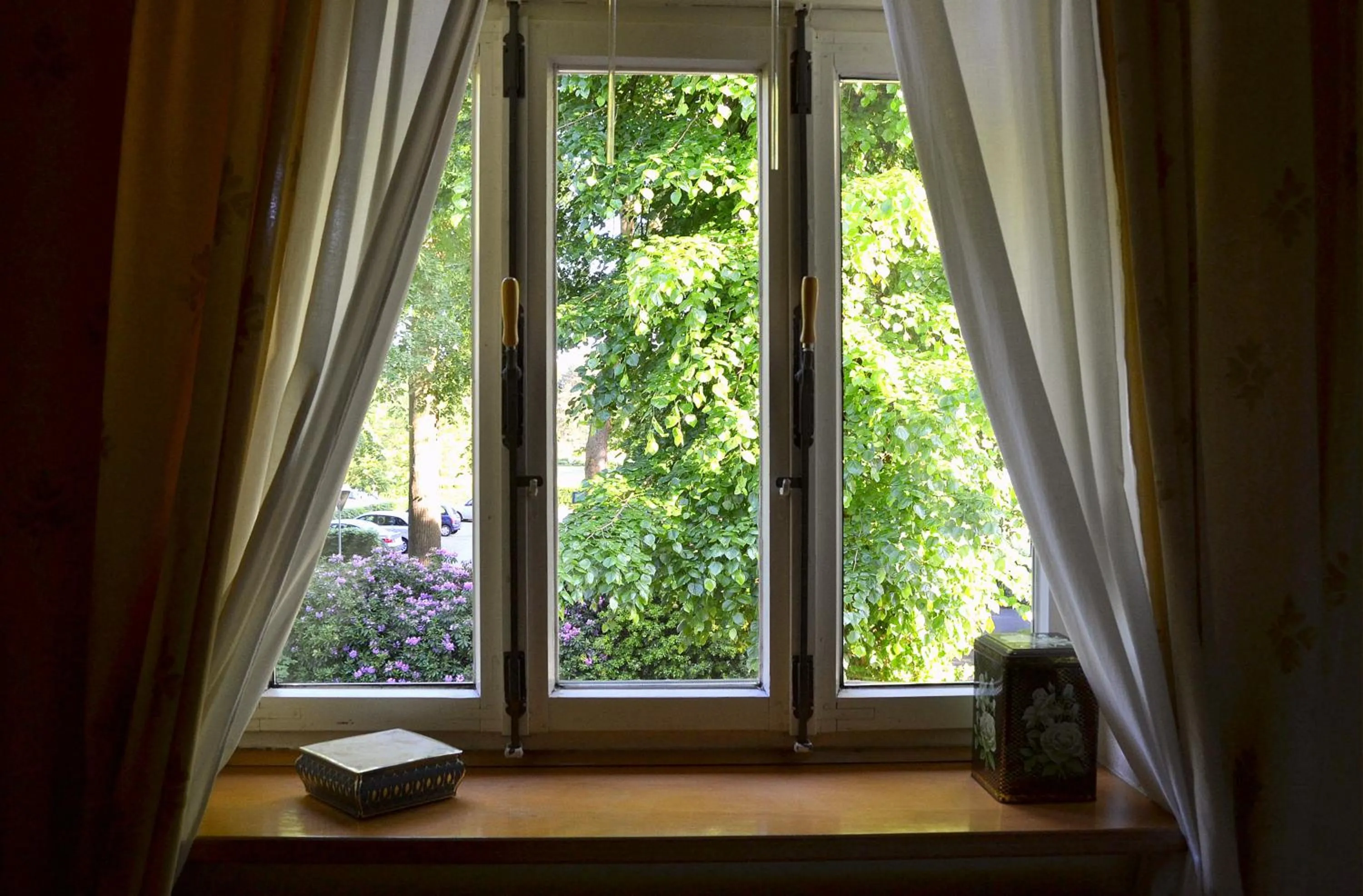 Garden view in Gottesgabe