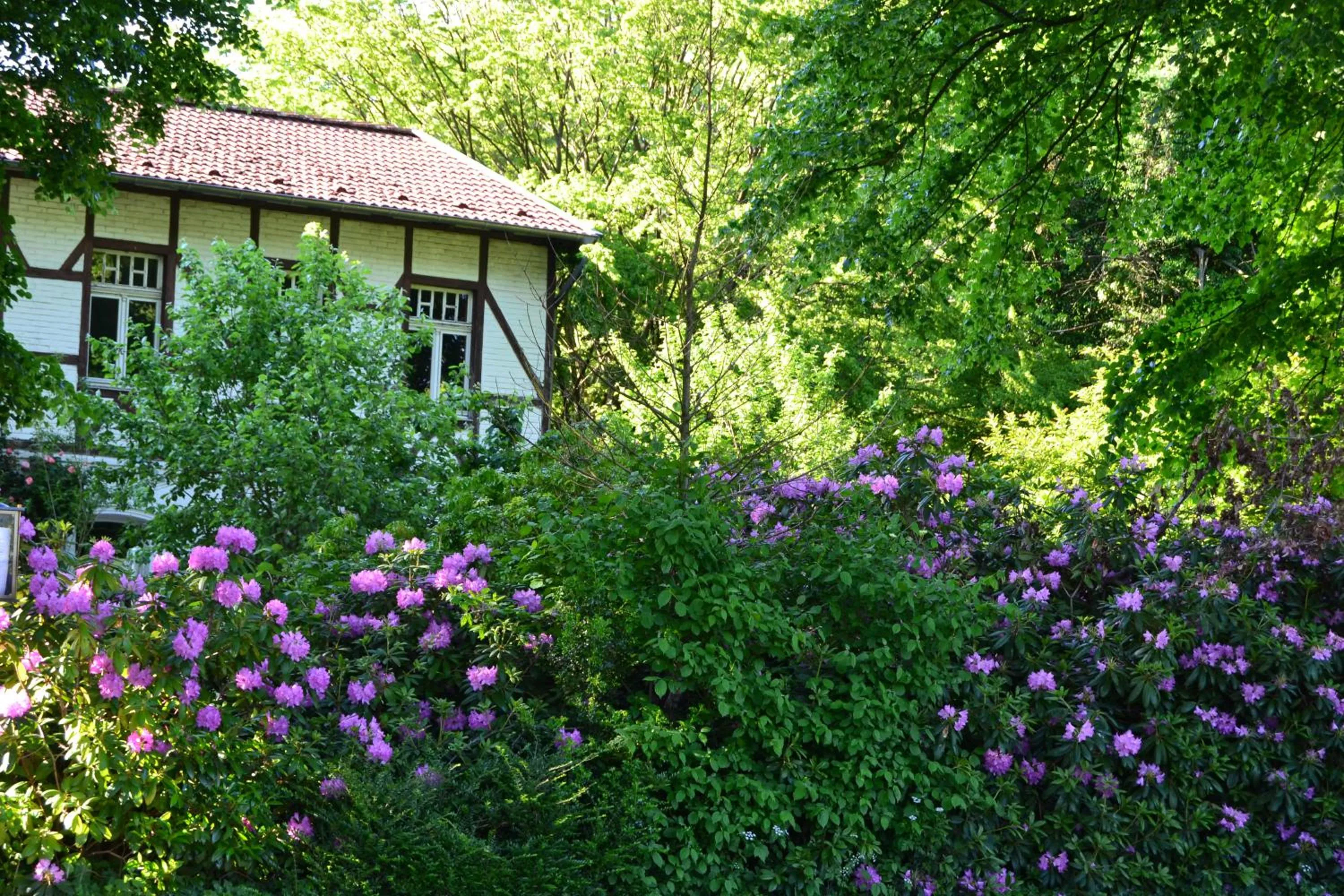 Natural landscape in Gottesgabe