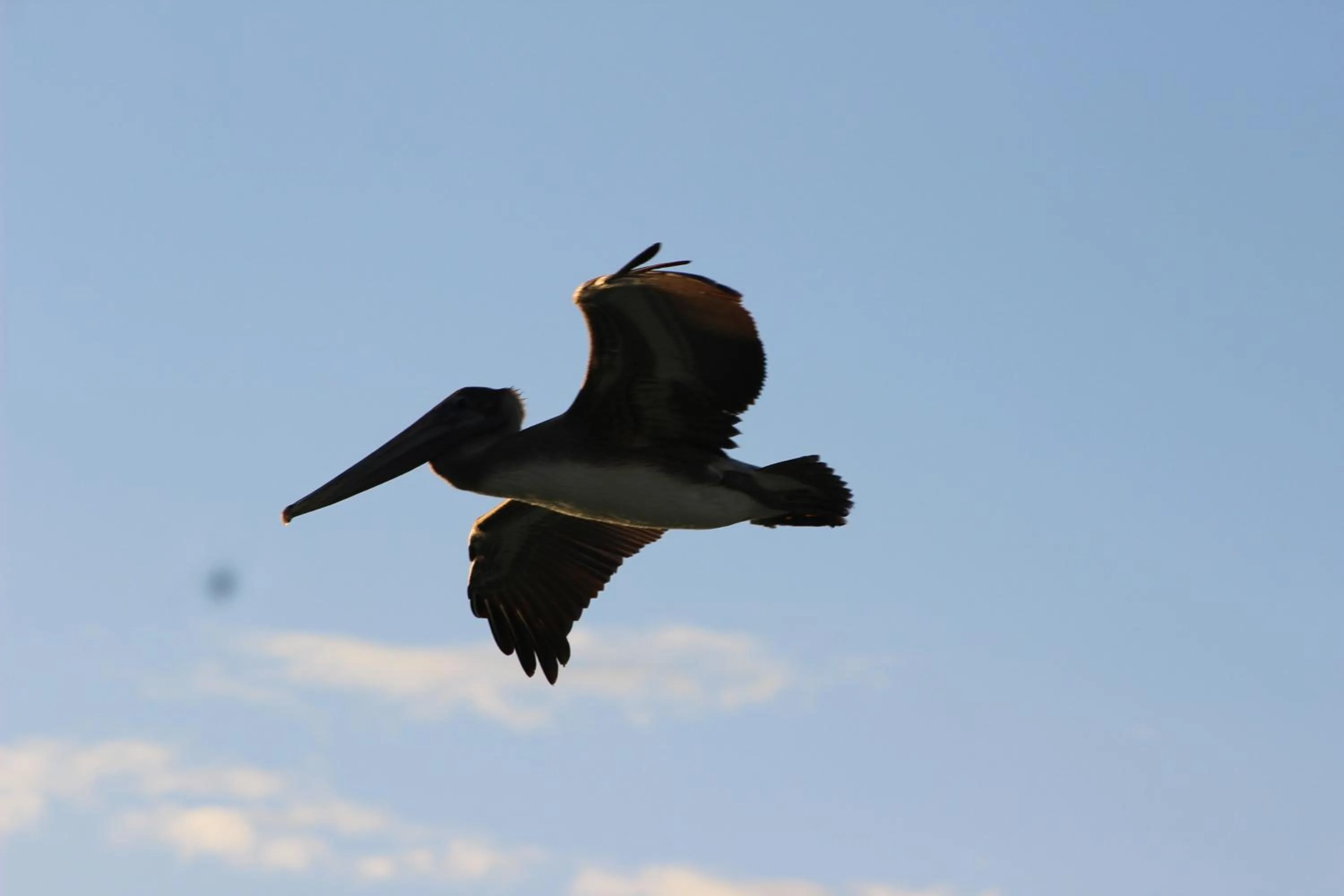 Bird's eye view in The Crimson Orchid Inn at Orchid Bay
