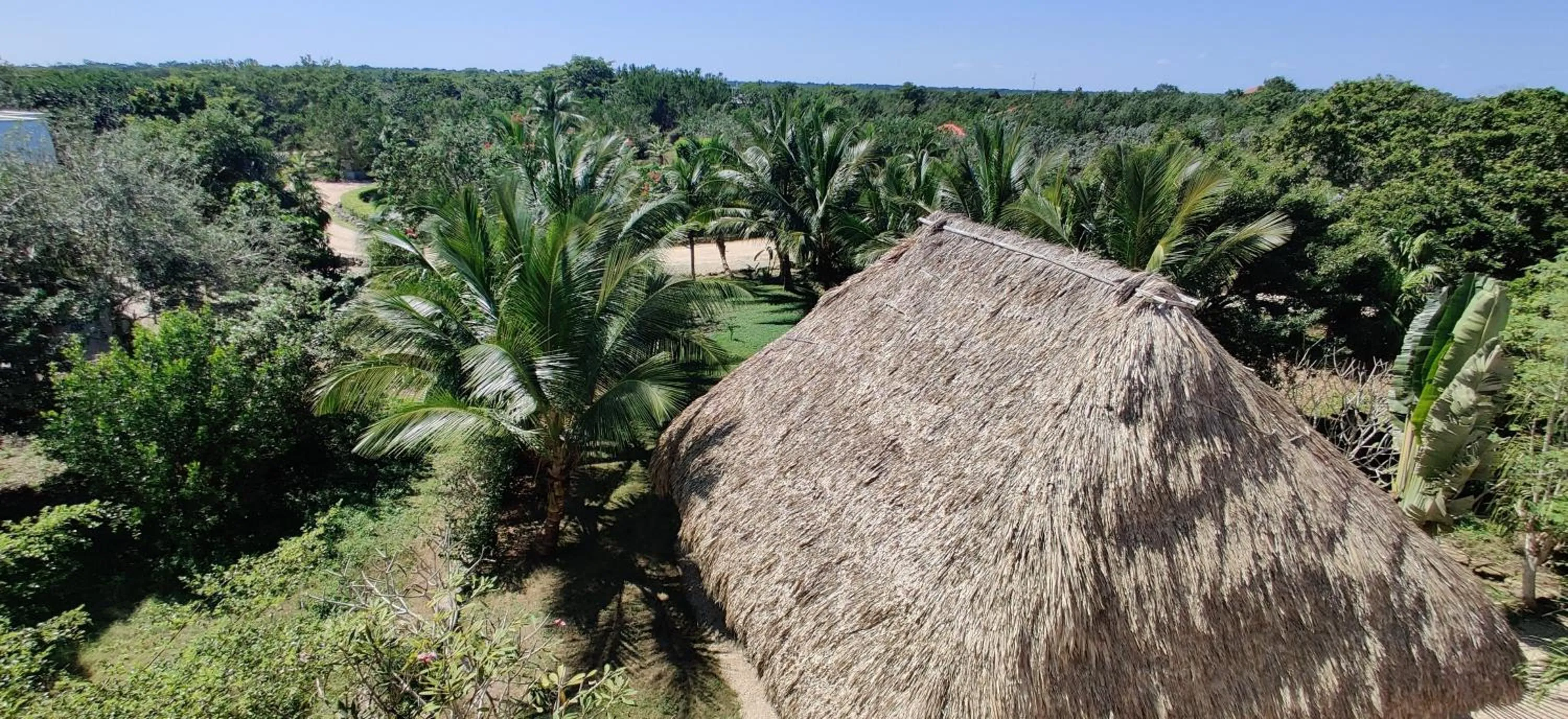 Natural landscape in The Crimson Orchid Inn at Orchid Bay