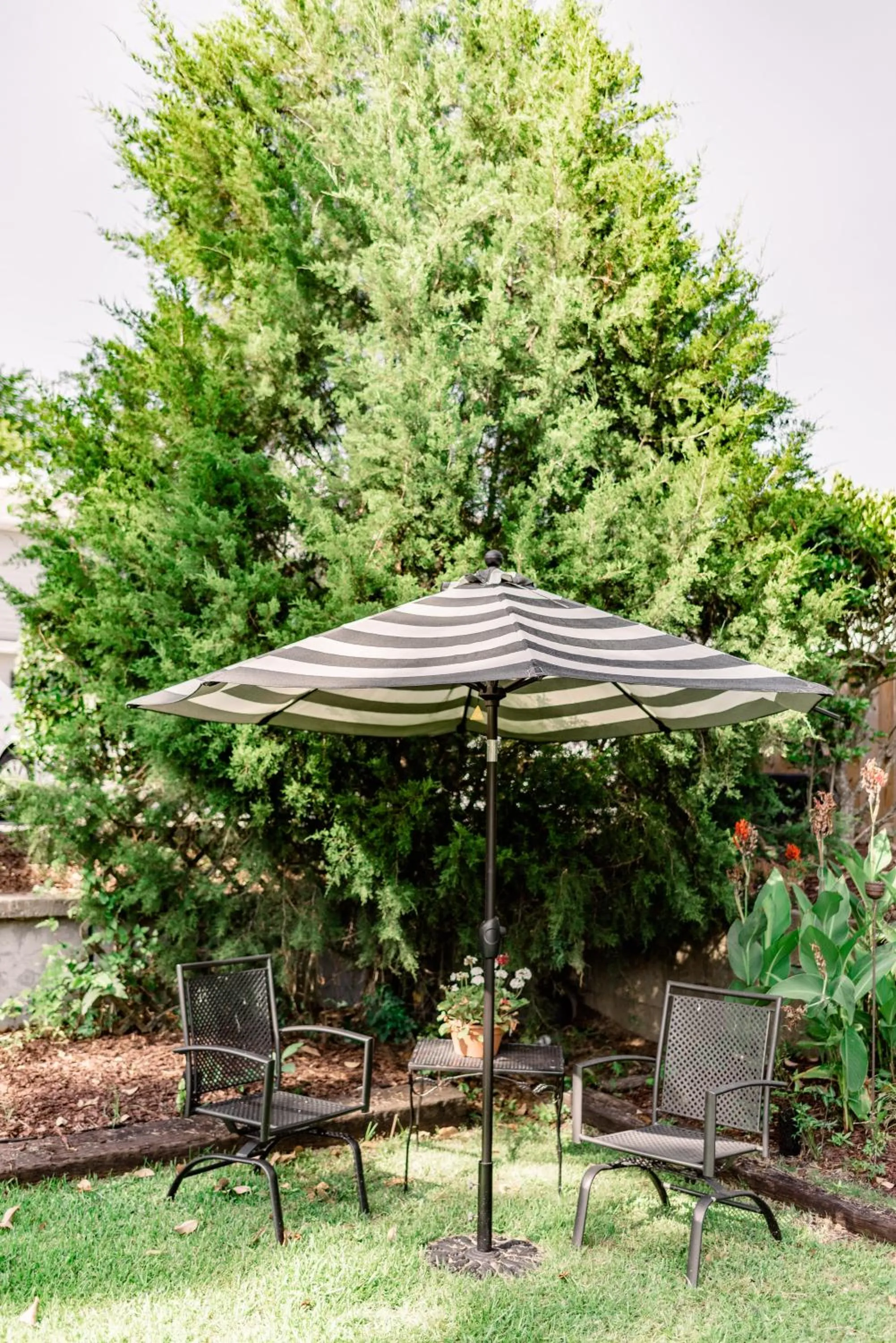 View (from property/room) in Meadows Inn