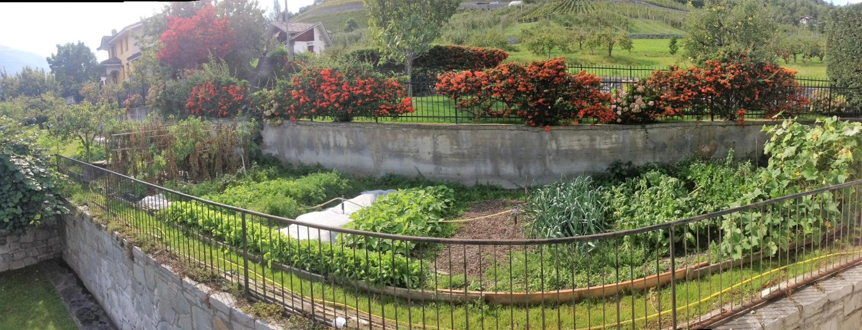 Dinner in Hotel & Restaurant Le Charaban