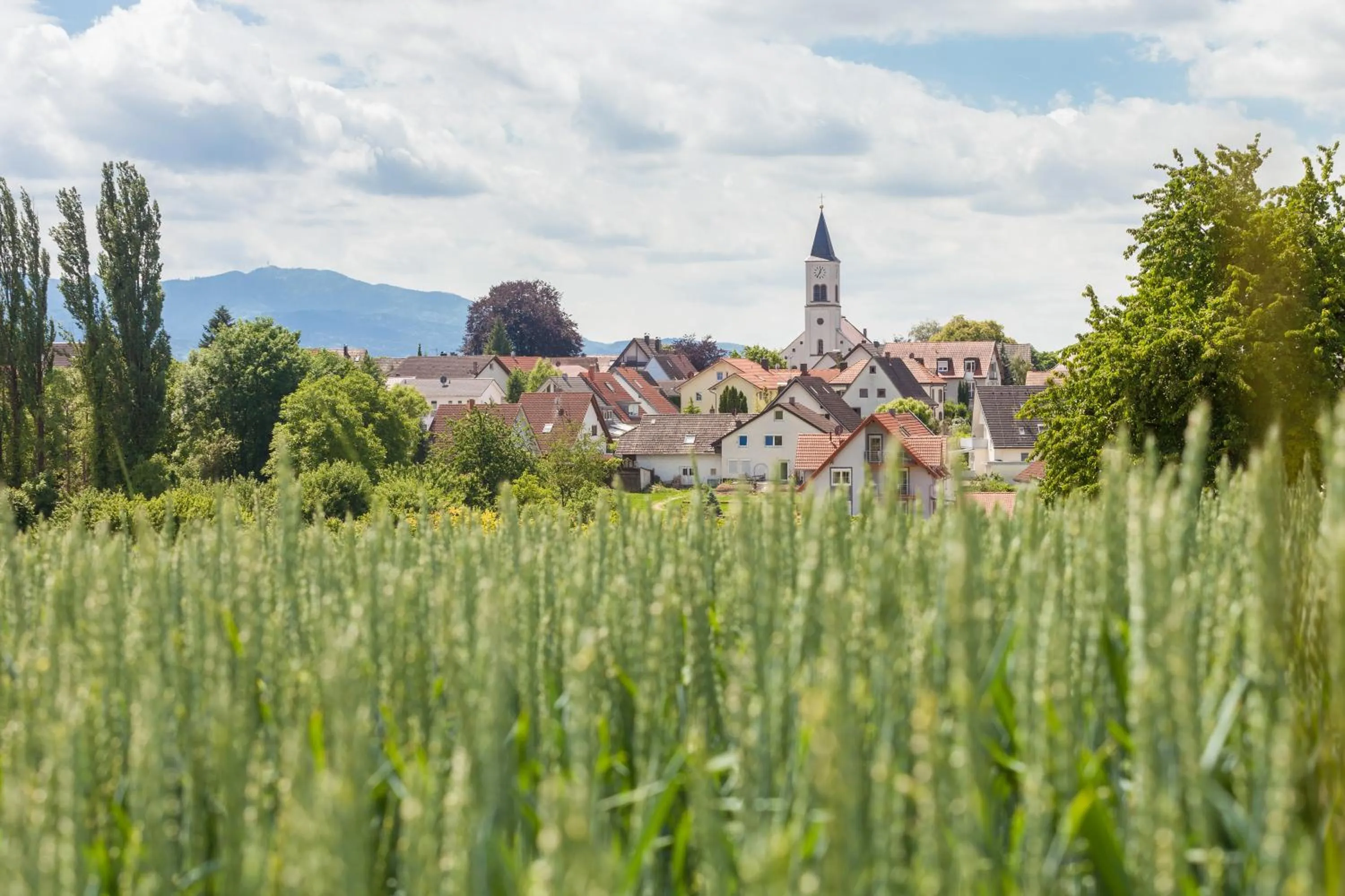 Neighbourhood in Alemannenhof