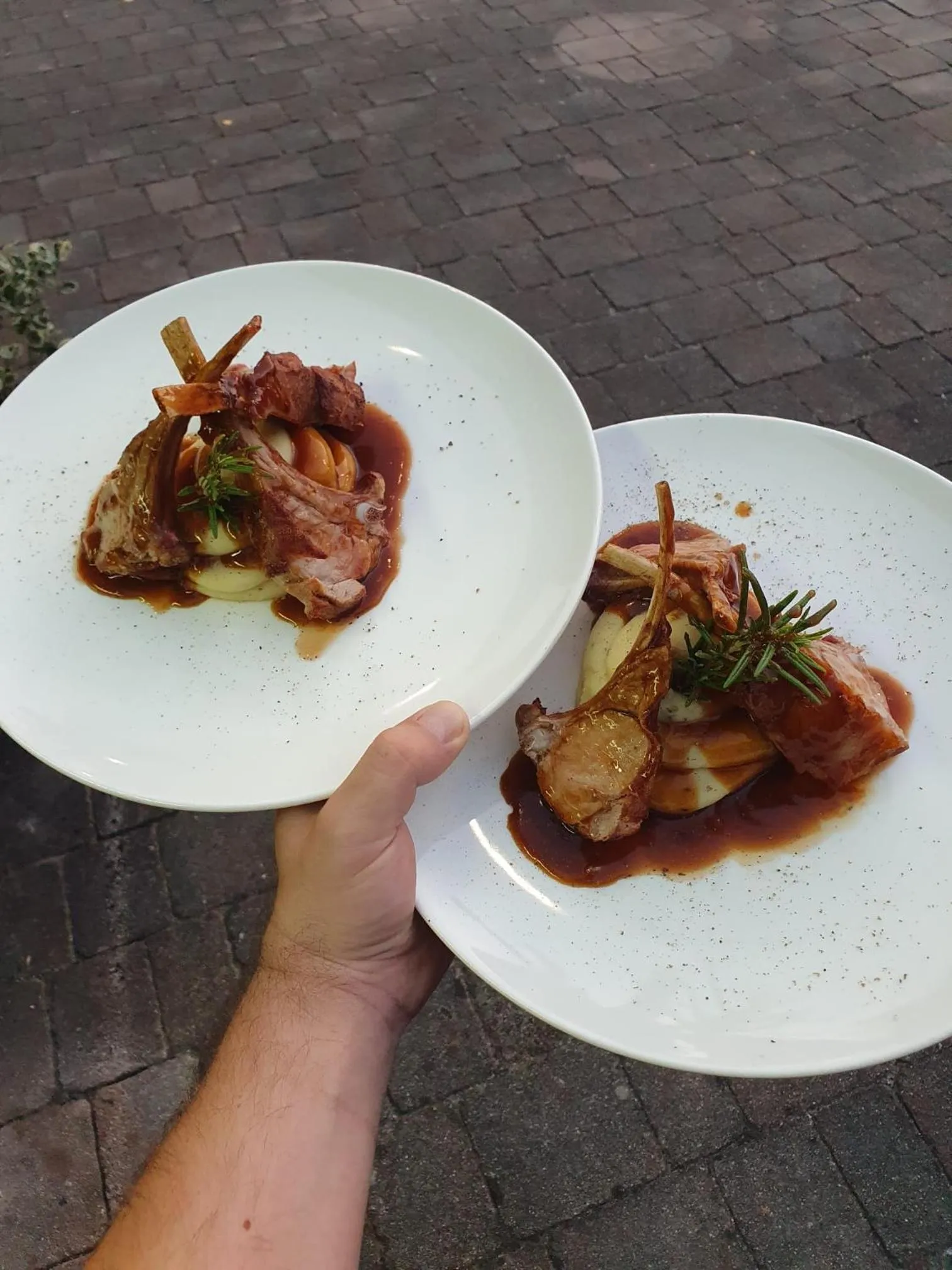 Restaurant/places to eat in Hotel Mangart