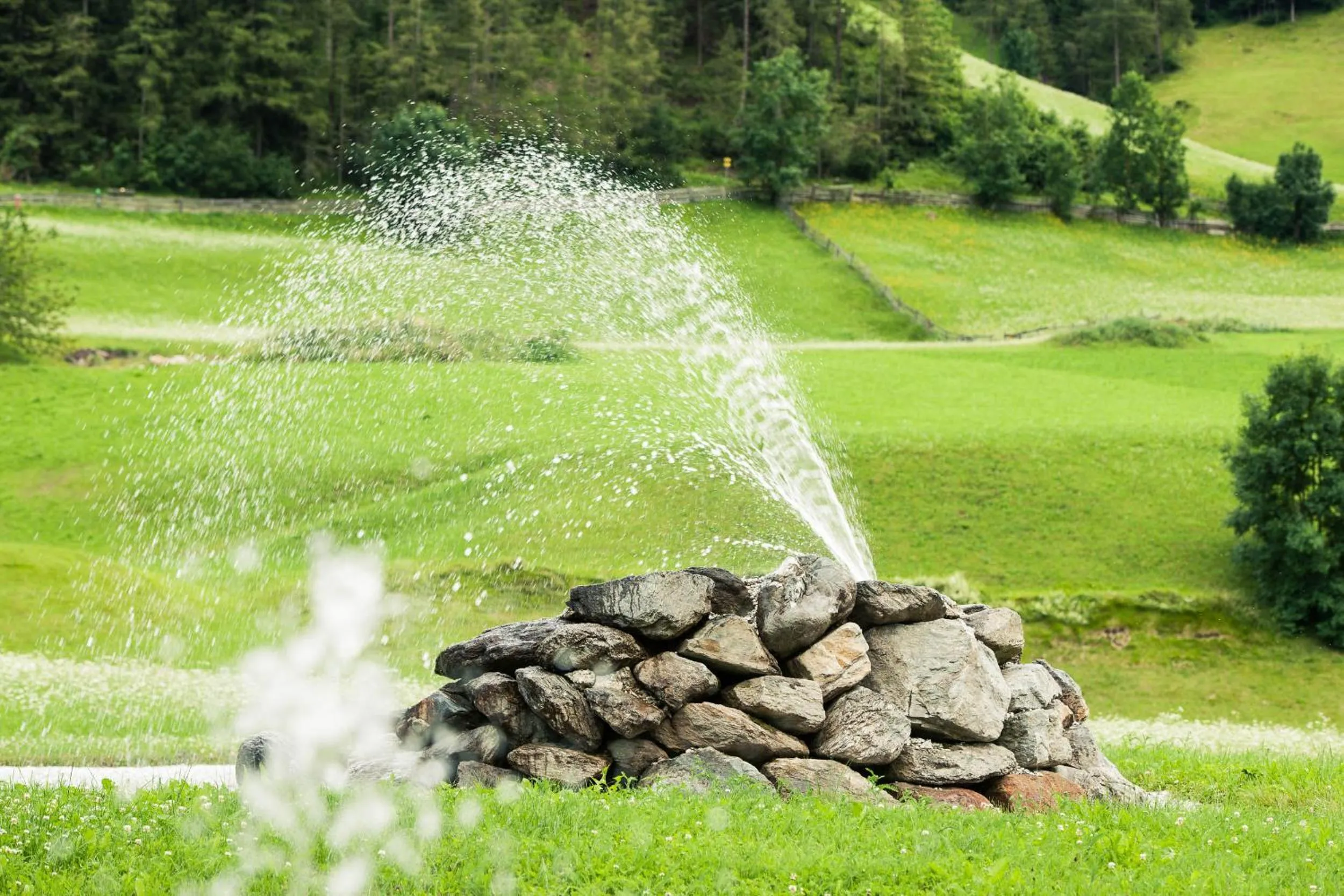 Garden in Hotel Steuxner