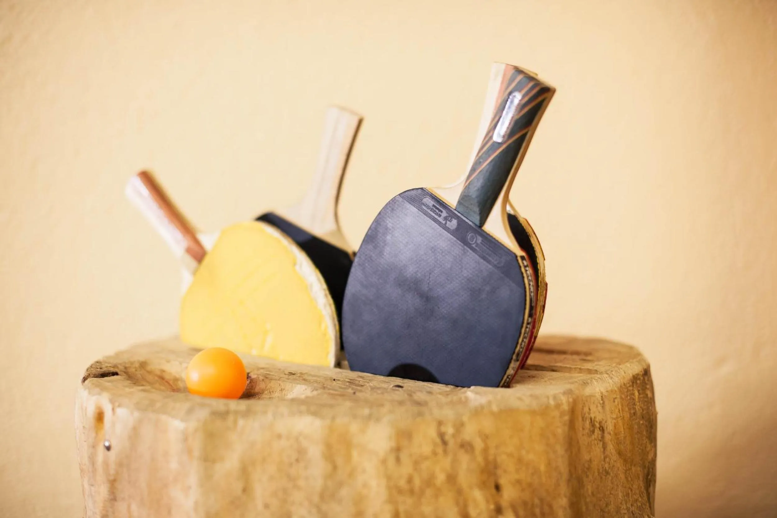 Table tennis in Hotel Steuxner