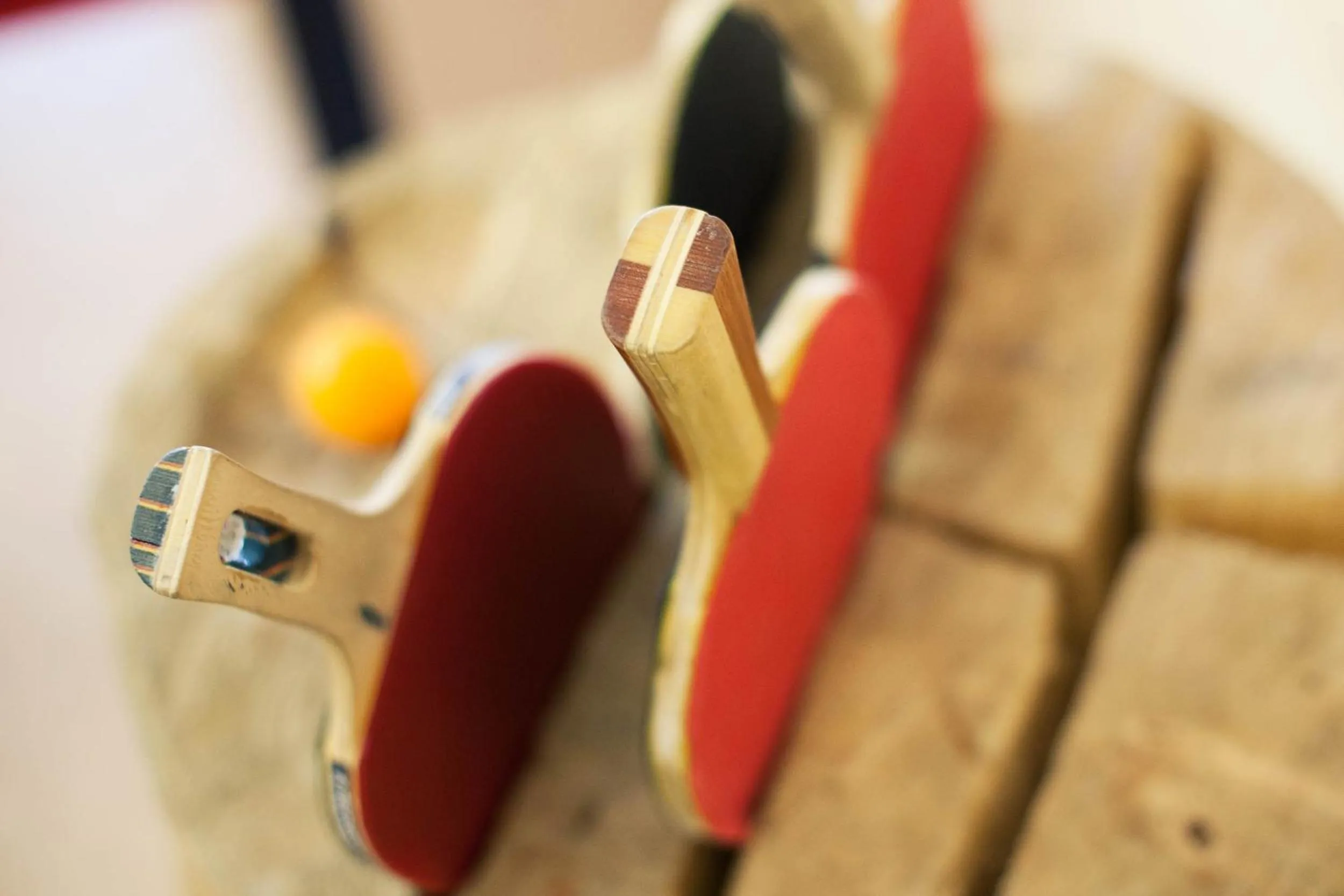 Table tennis in Hotel Steuxner