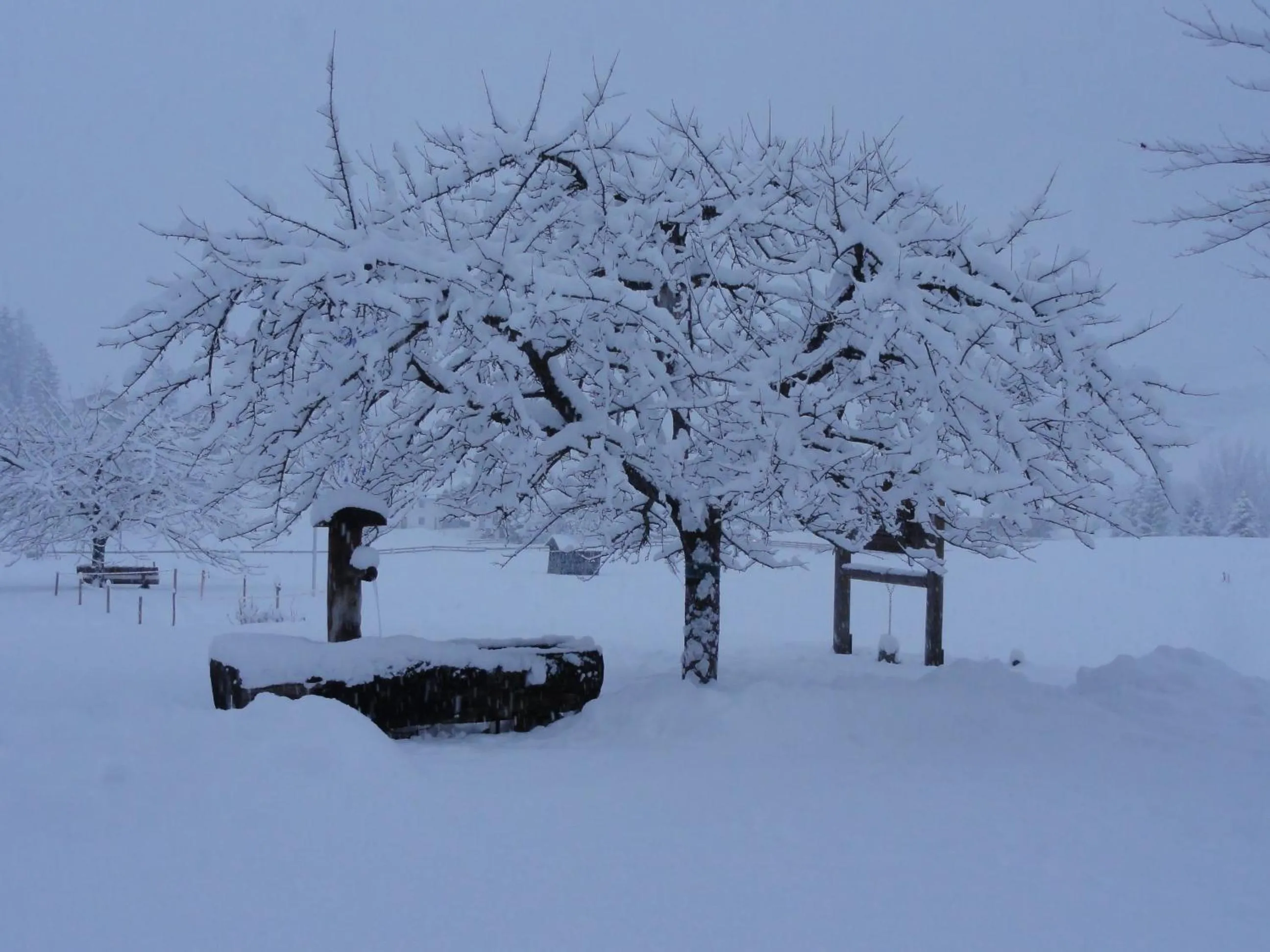 Winter in Hotel Steuxner
