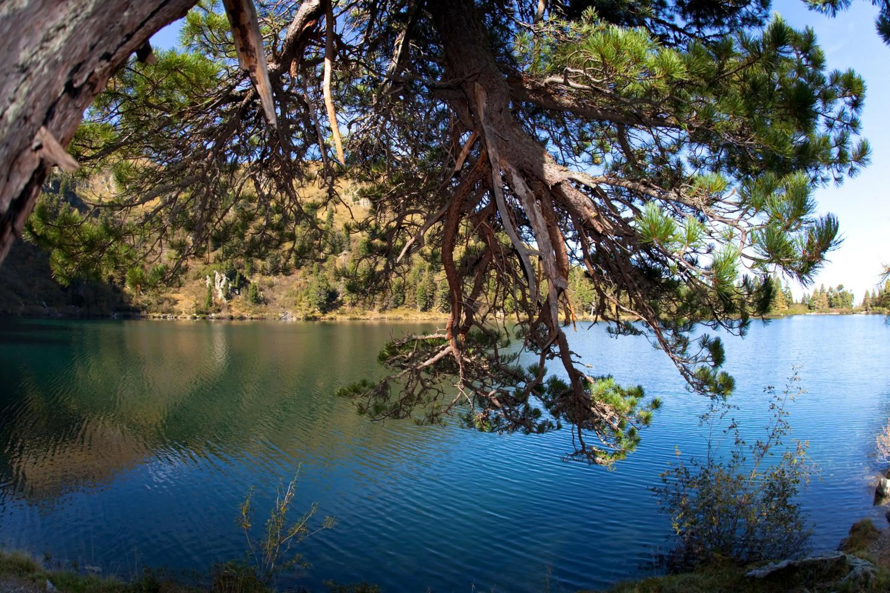 Hiking in Landhotel Lacknerhof
