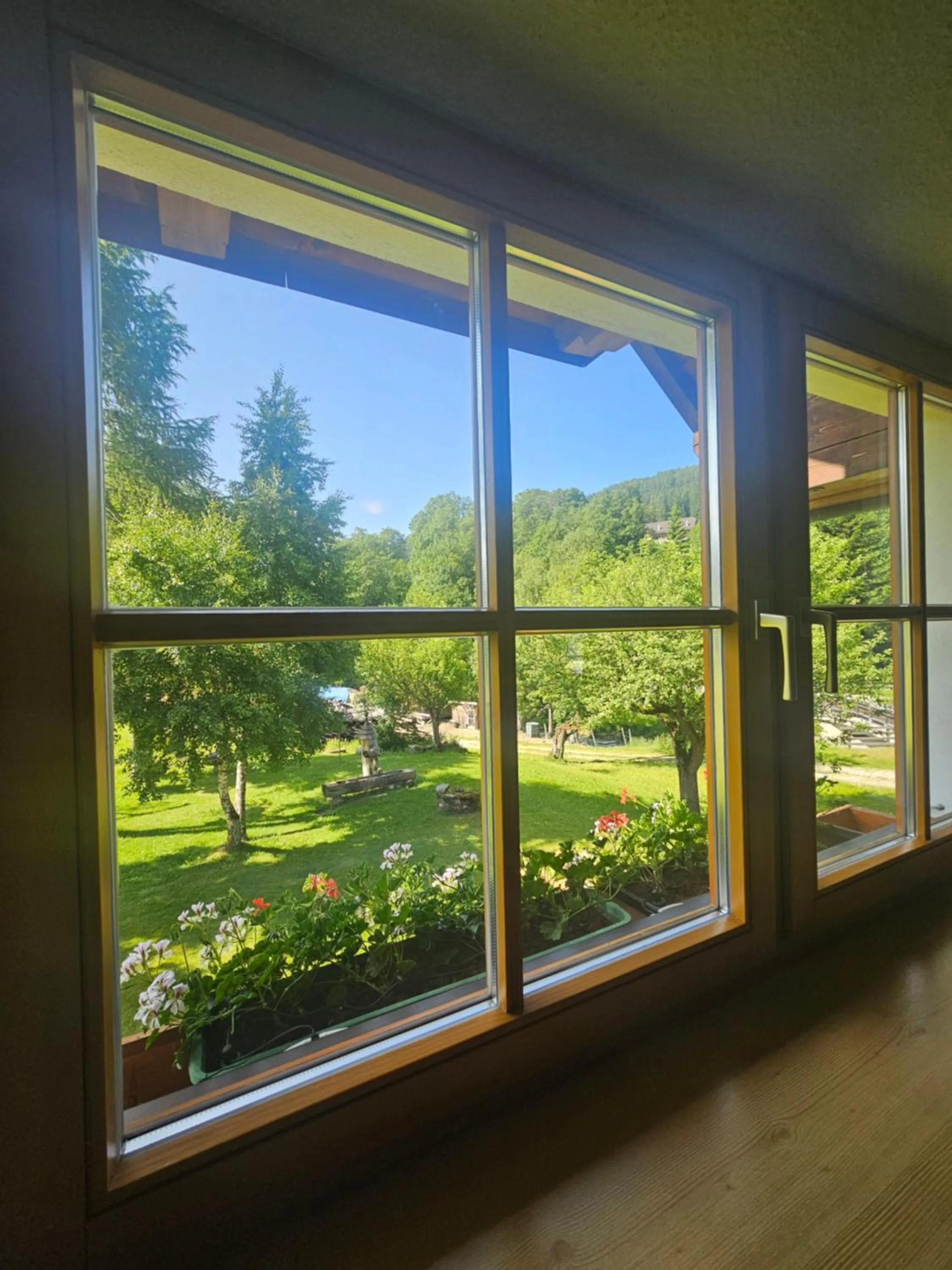 Garden view in Landhotel Lacknerhof