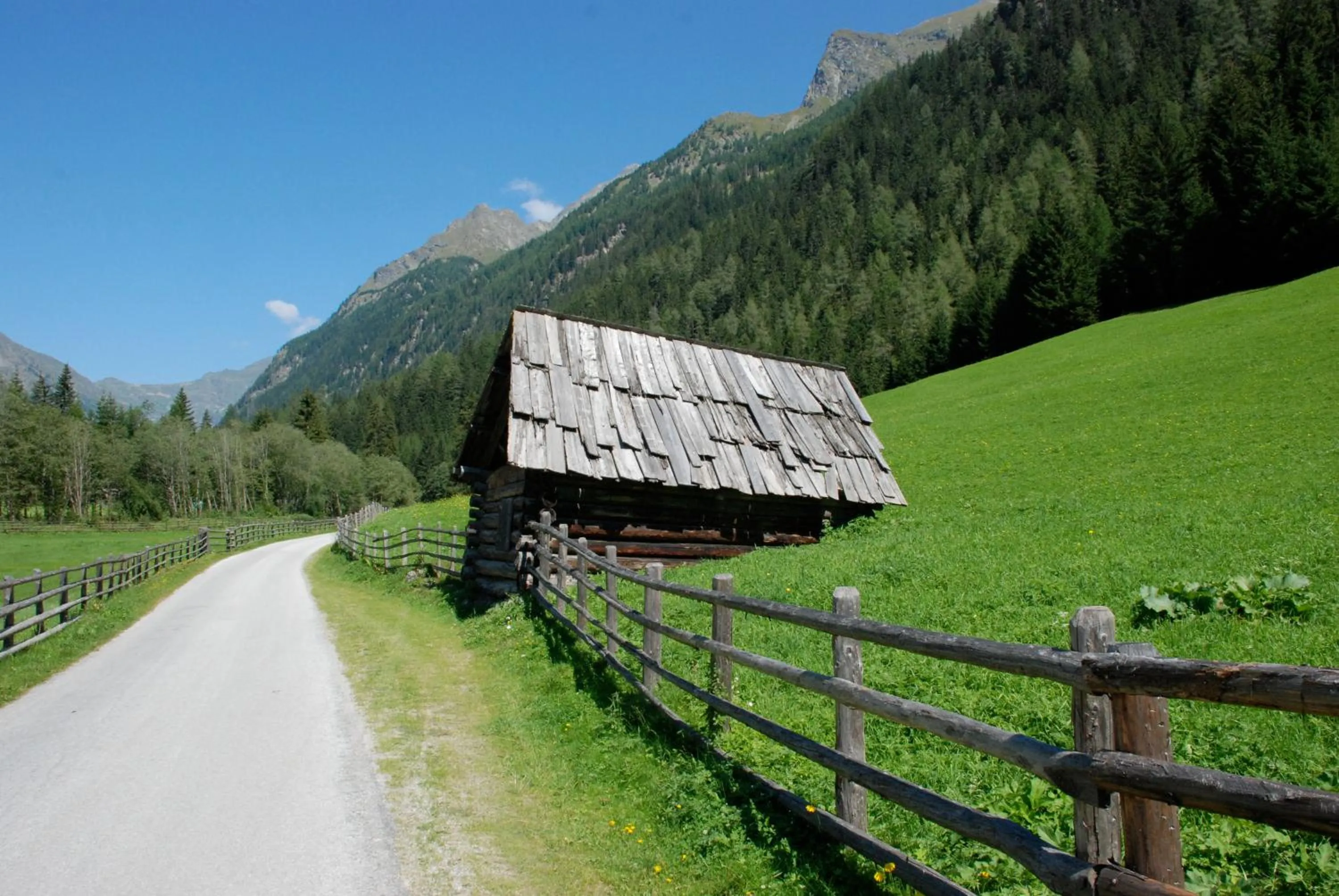 Natural landscape in Landhotel Lacknerhof
