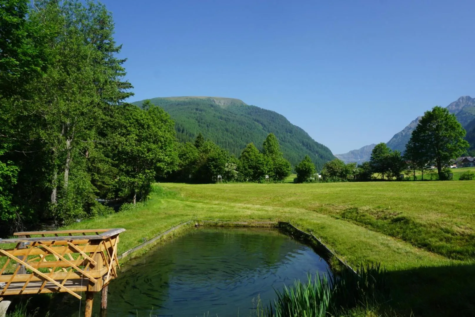 Summer in Landhotel Lacknerhof