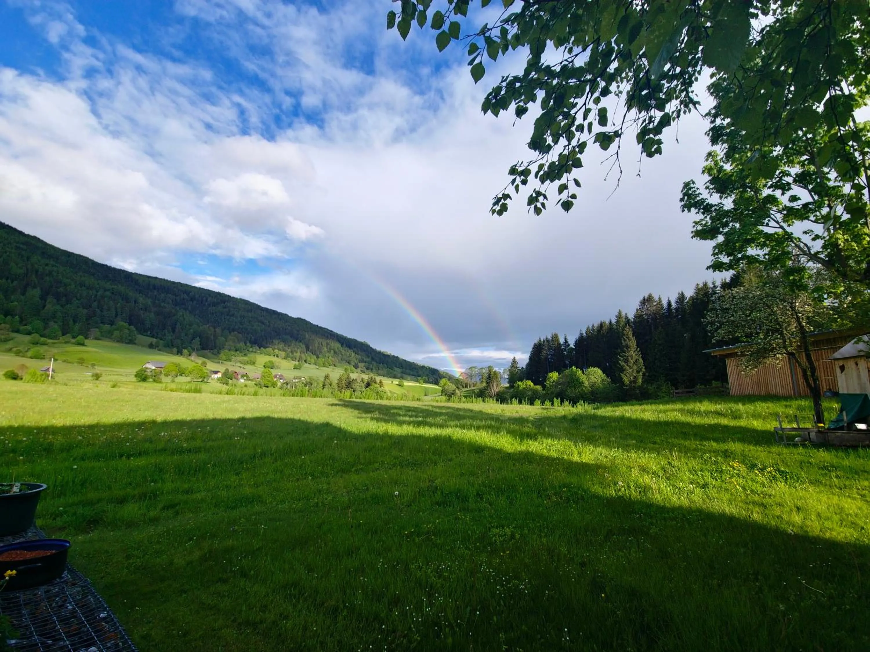 Garden in Landhotel Lacknerhof