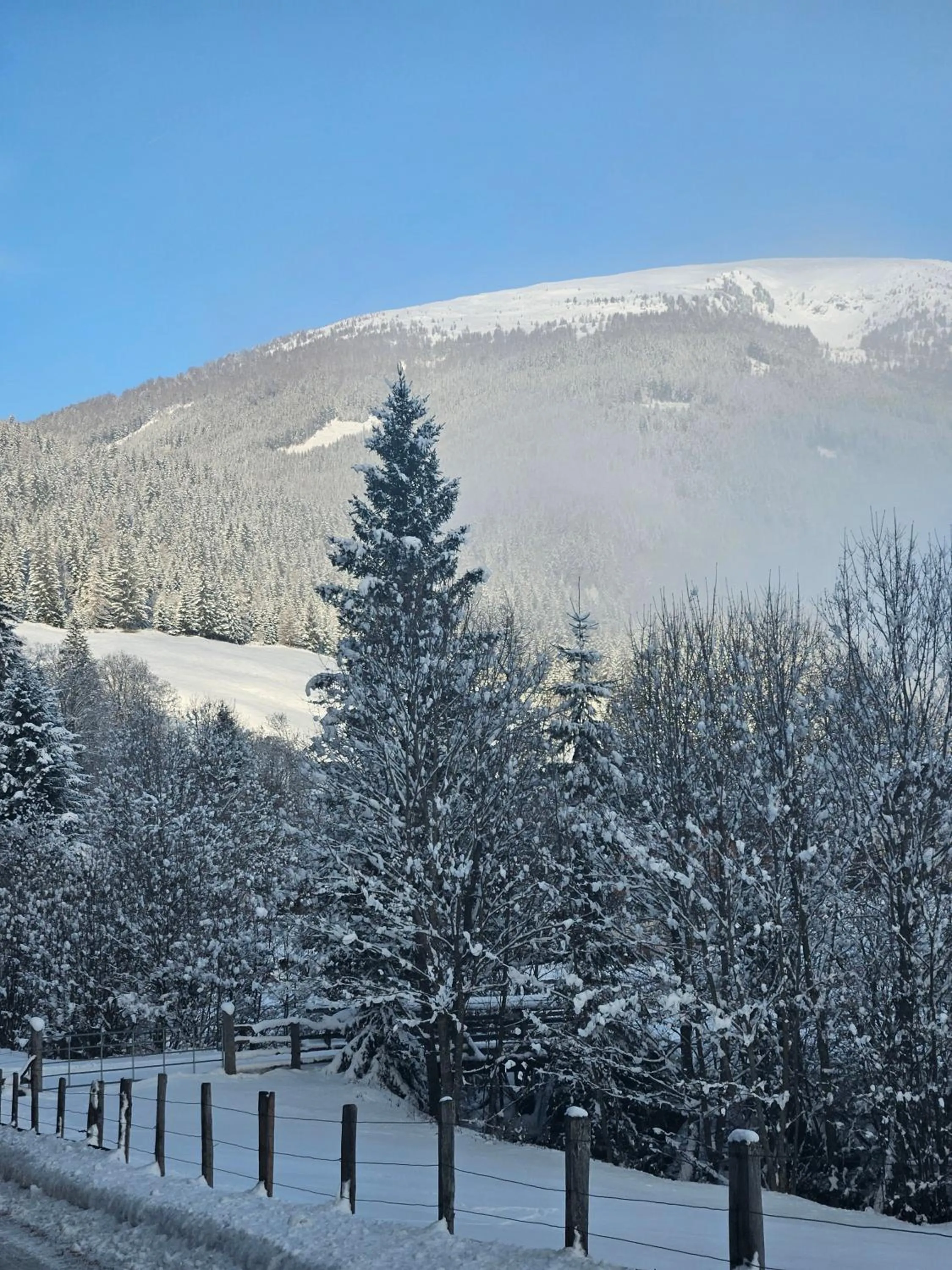 Mountain view in Landhotel Lacknerhof