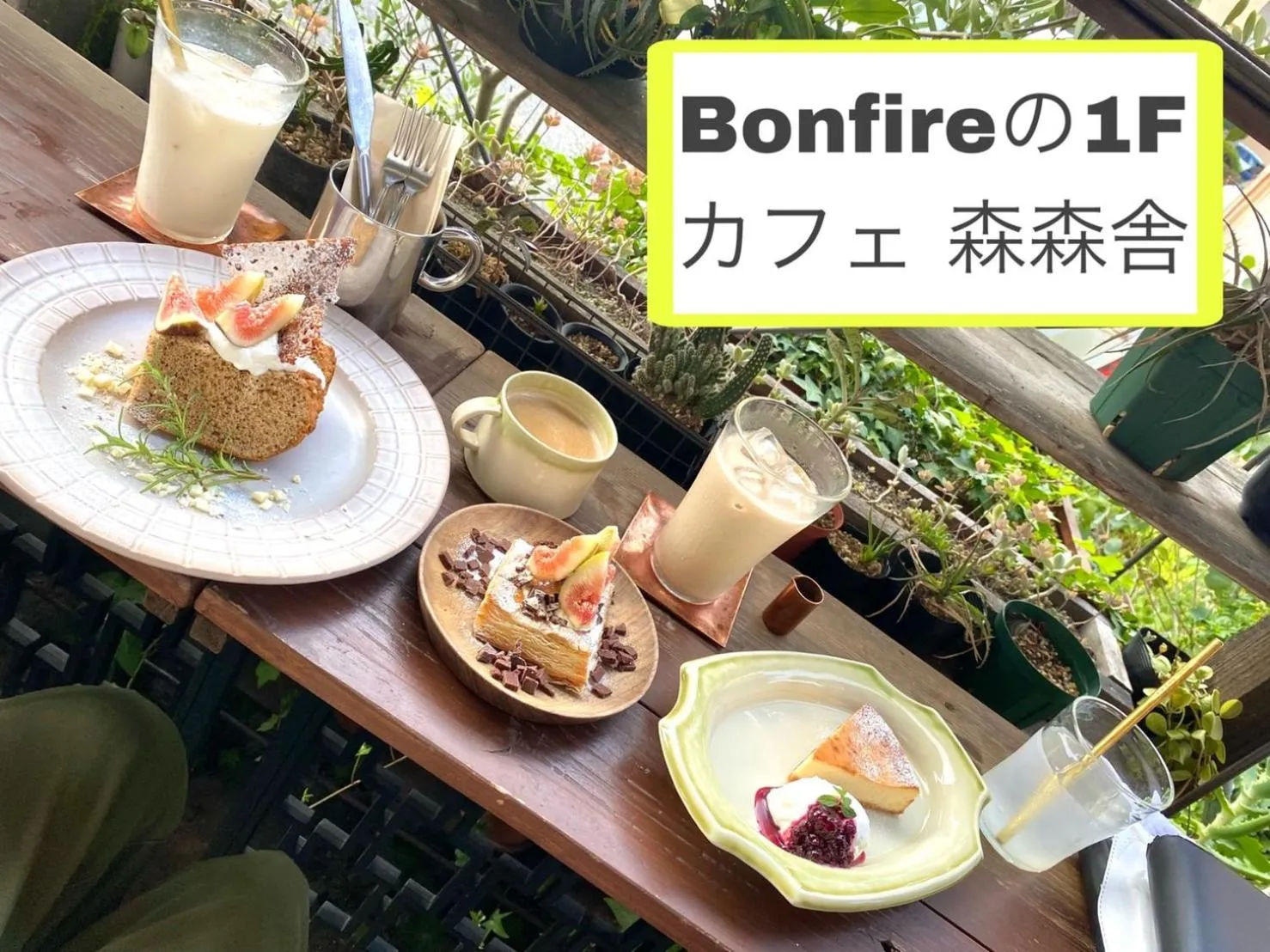 Food in Bonfire Hostel Osaka