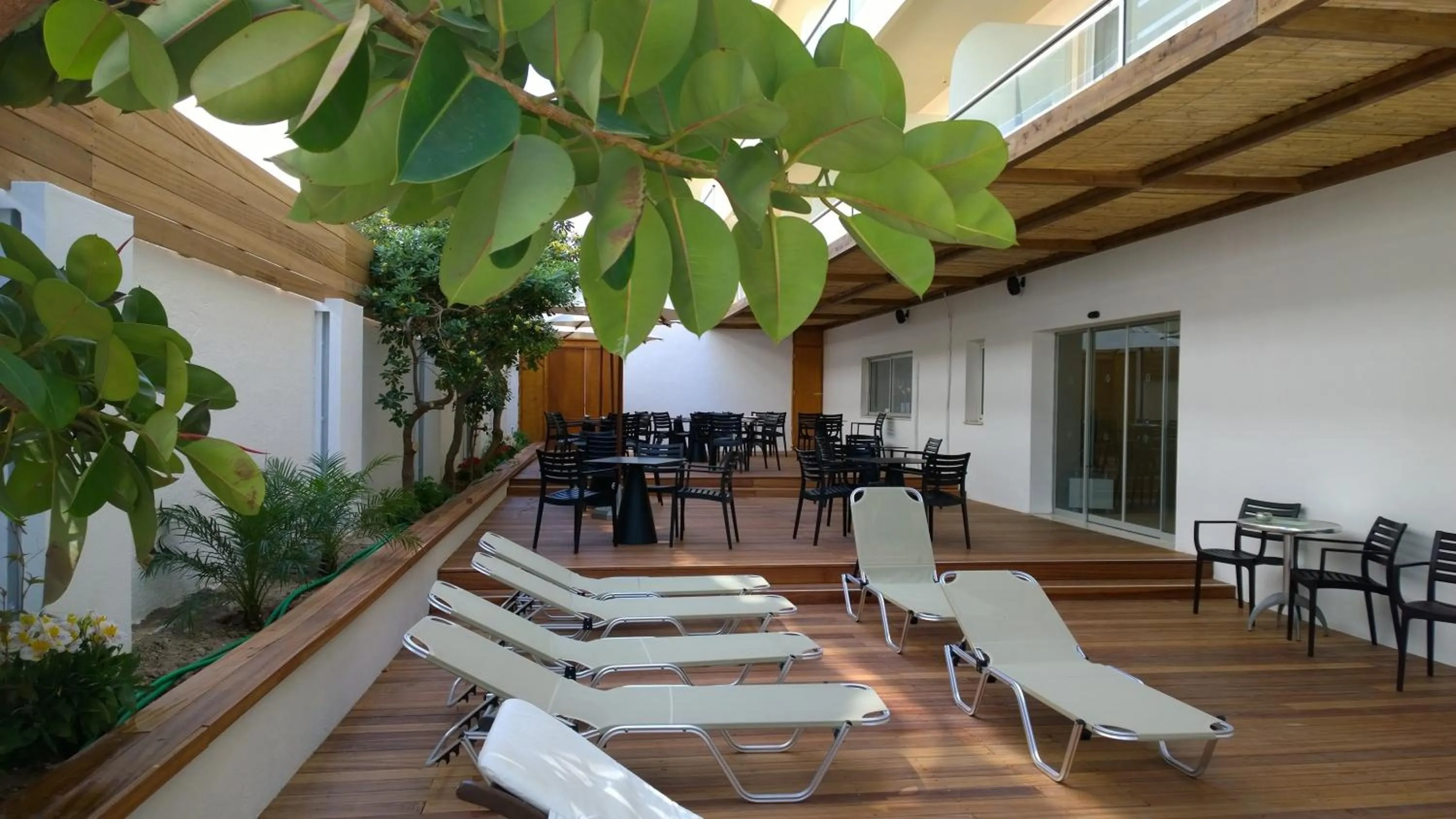 Restaurant/places to eat in Athena Hotel