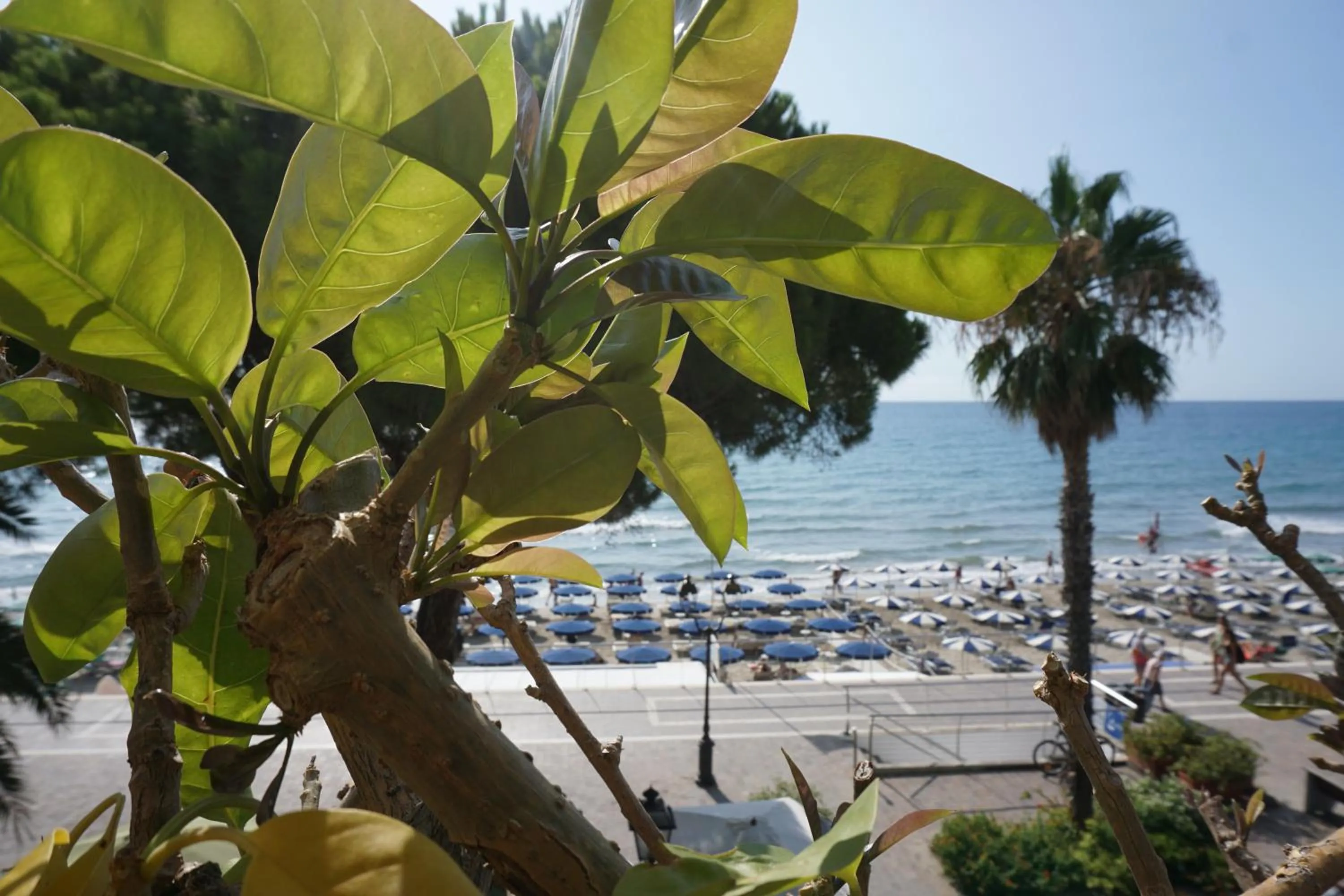 Balcony/Terrace in Hotel Beau Rivage