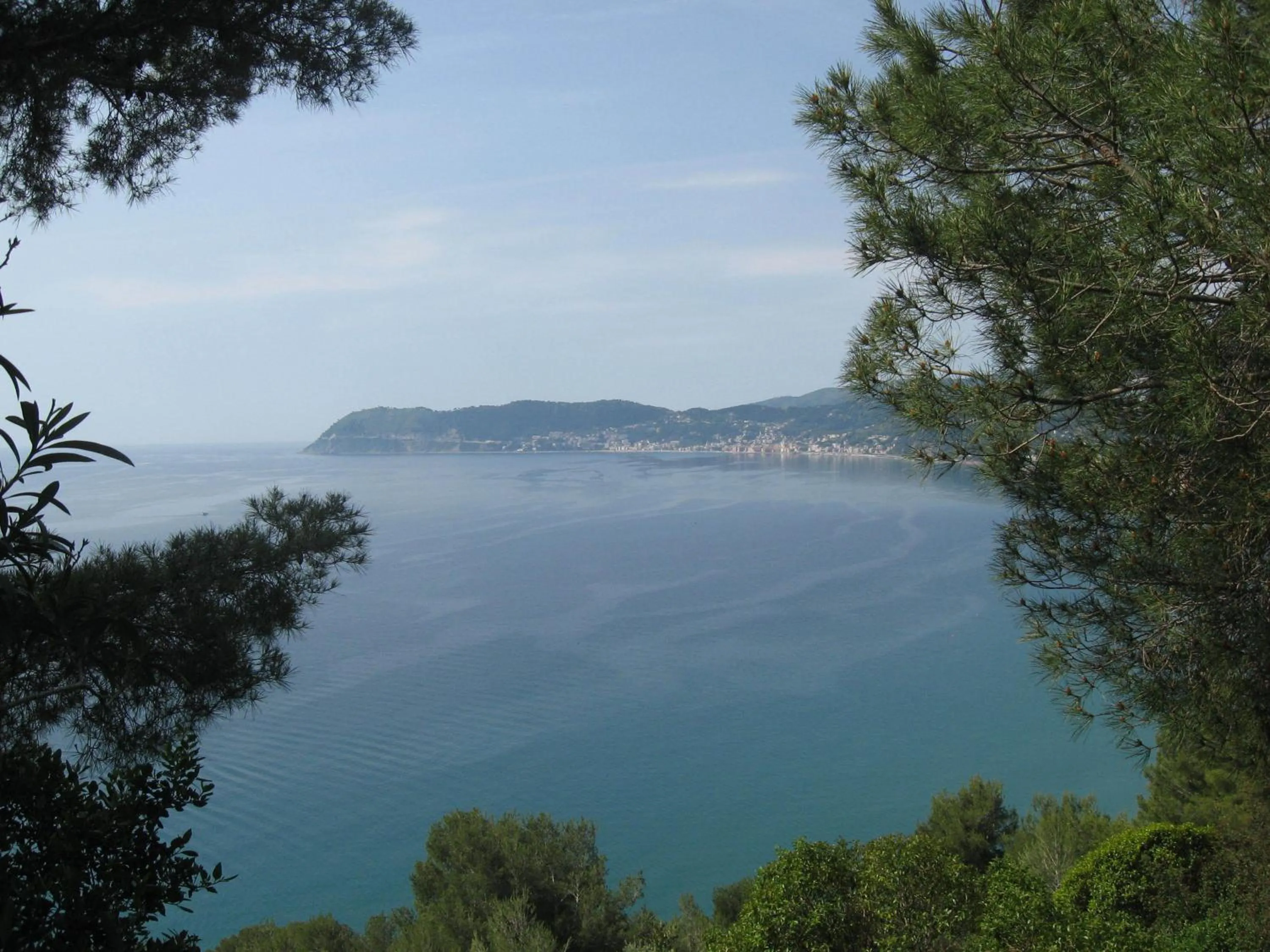 Natural landscape in Hotel Beau Rivage