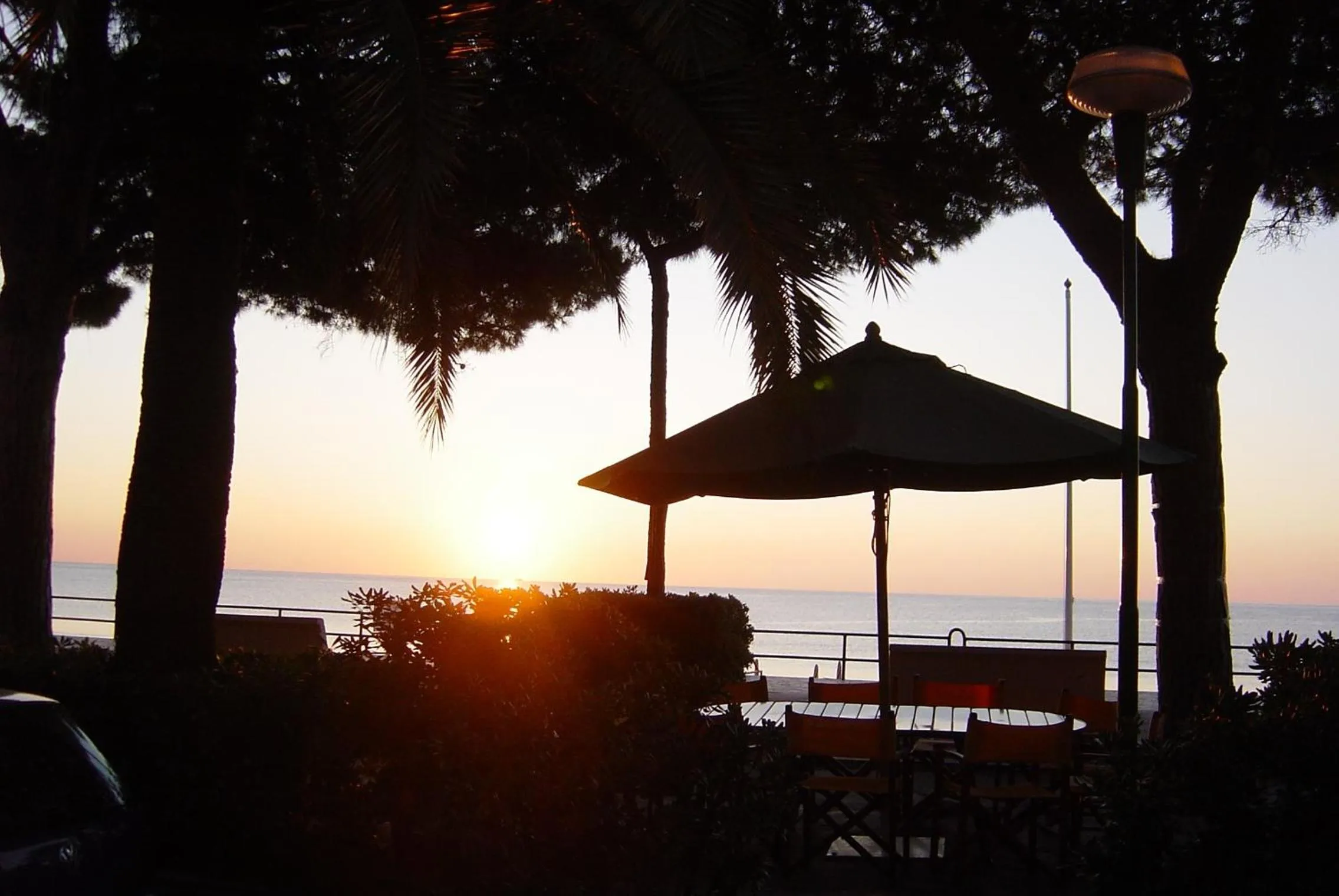 Garden in Hotel Beau Rivage