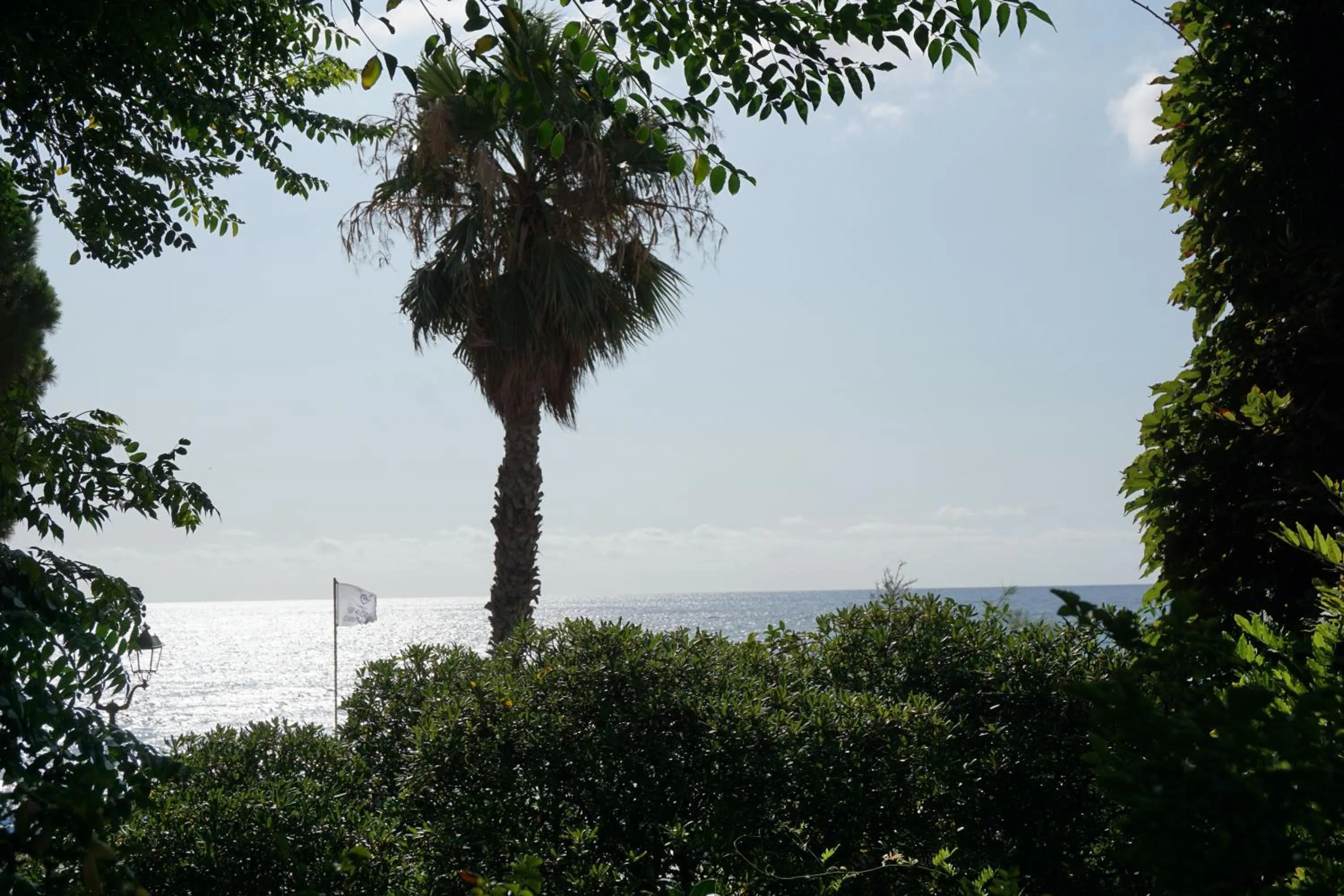 Natural landscape in Hotel Beau Rivage