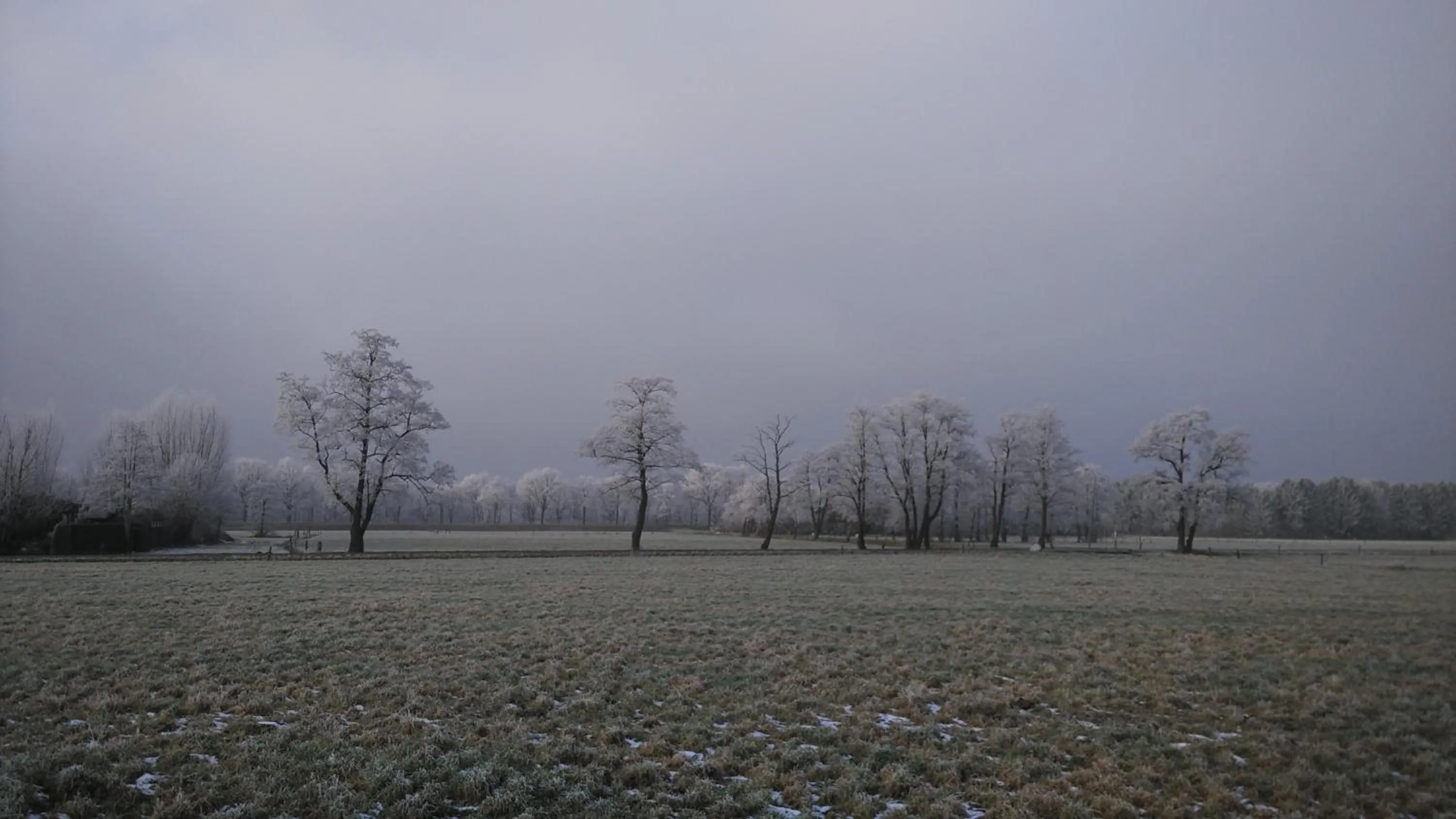 Natural landscape in Bed & Breakfast El Manso