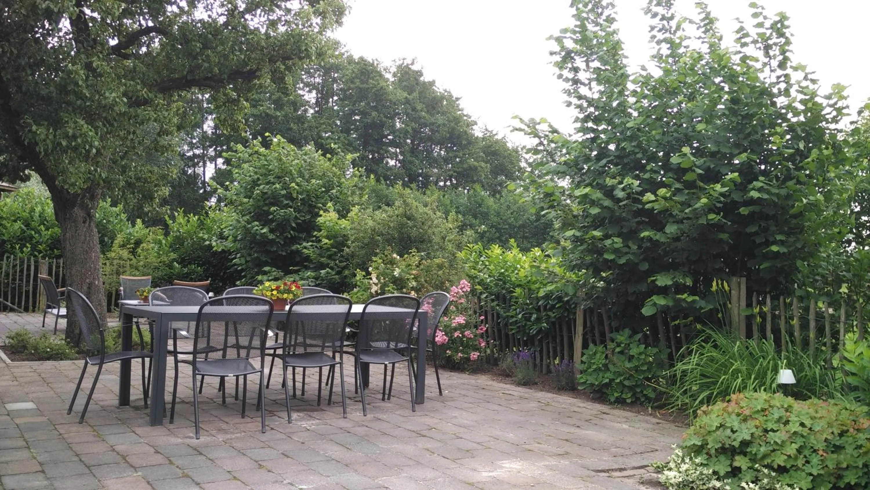 Patio in Bed & Breakfast El Manso