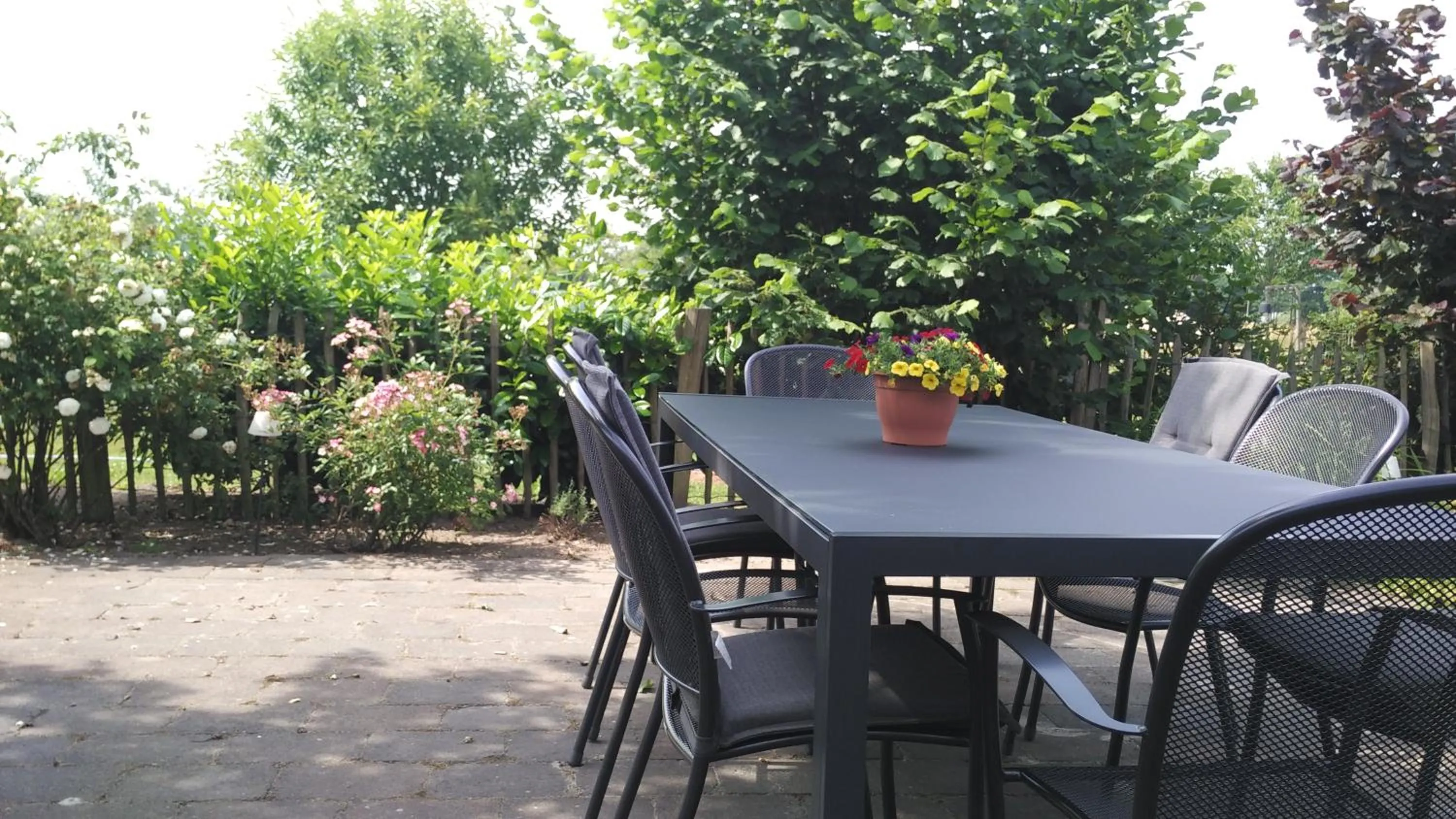 Patio in Bed & Breakfast El Manso