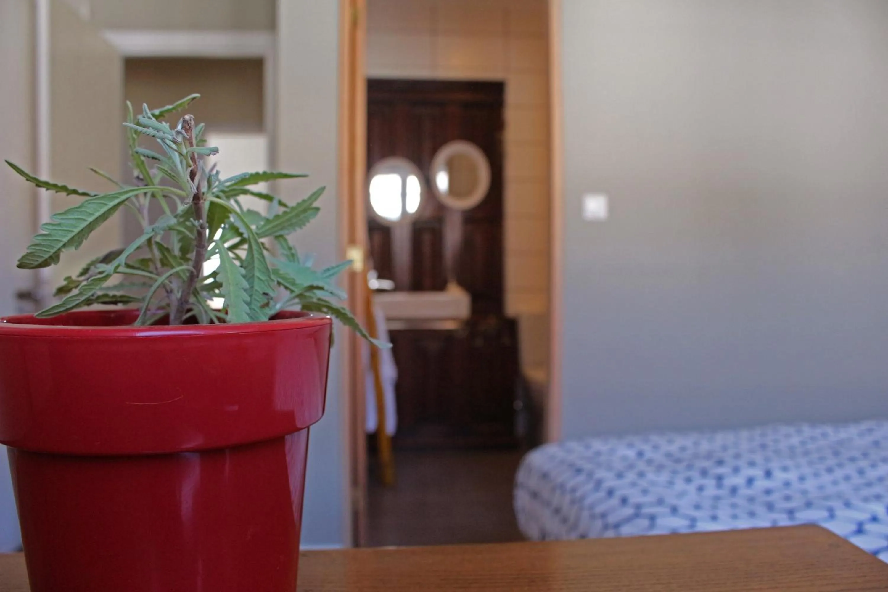 Bathroom, Bed in Porto Pim Guest House