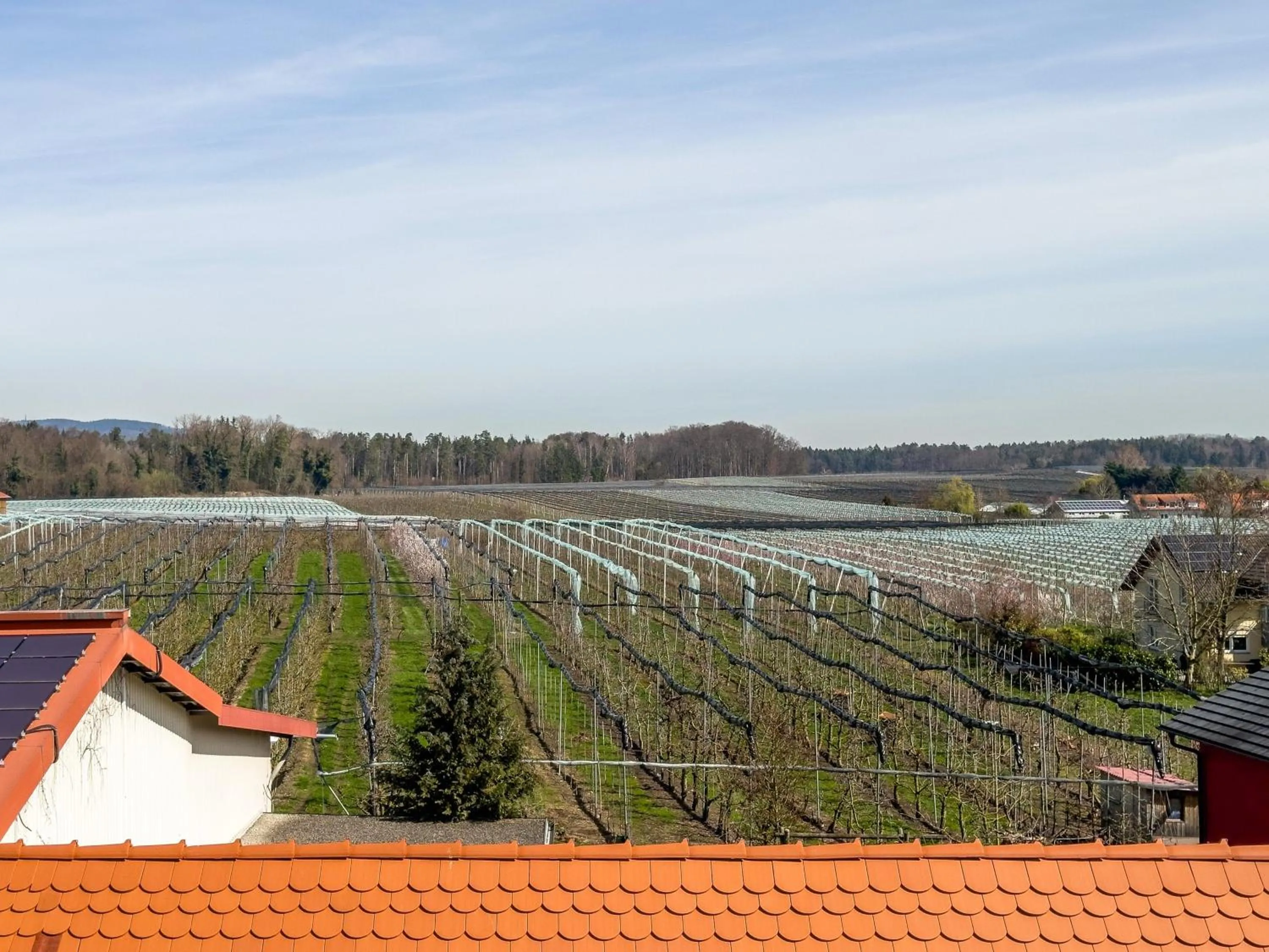 Property building in Obst- Ferienhof Ragg