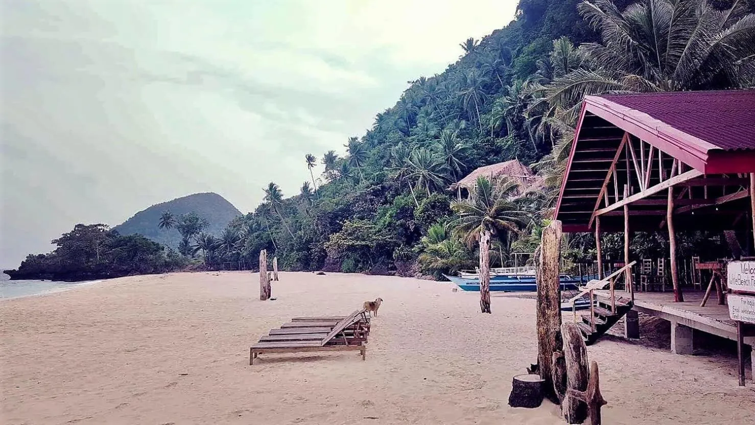 Balcony/Terrace in White Beach Front and Cottages