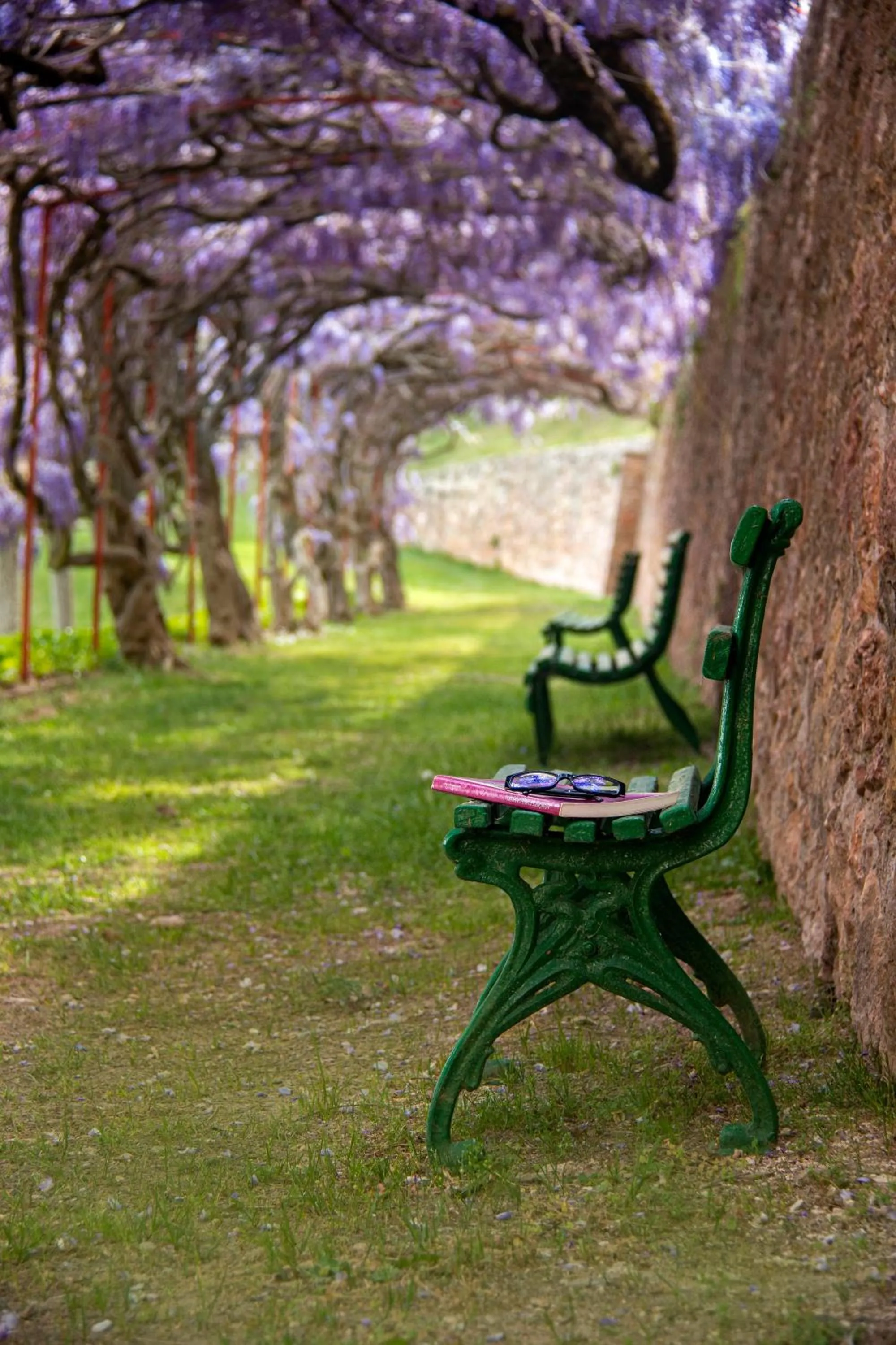 Garden in Hotel Can Boix de Peramola