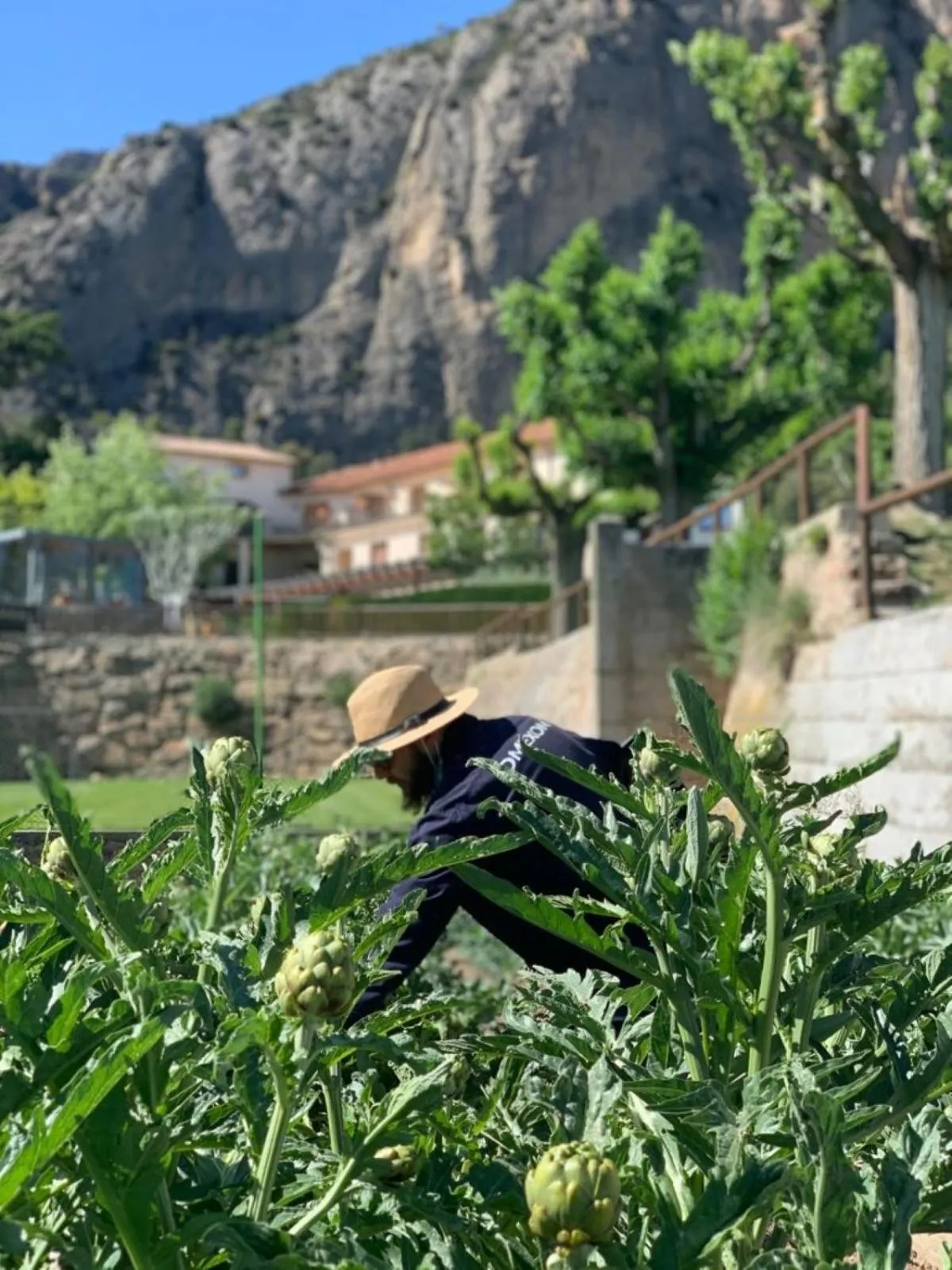 Garden in Hotel Can Boix de Peramola