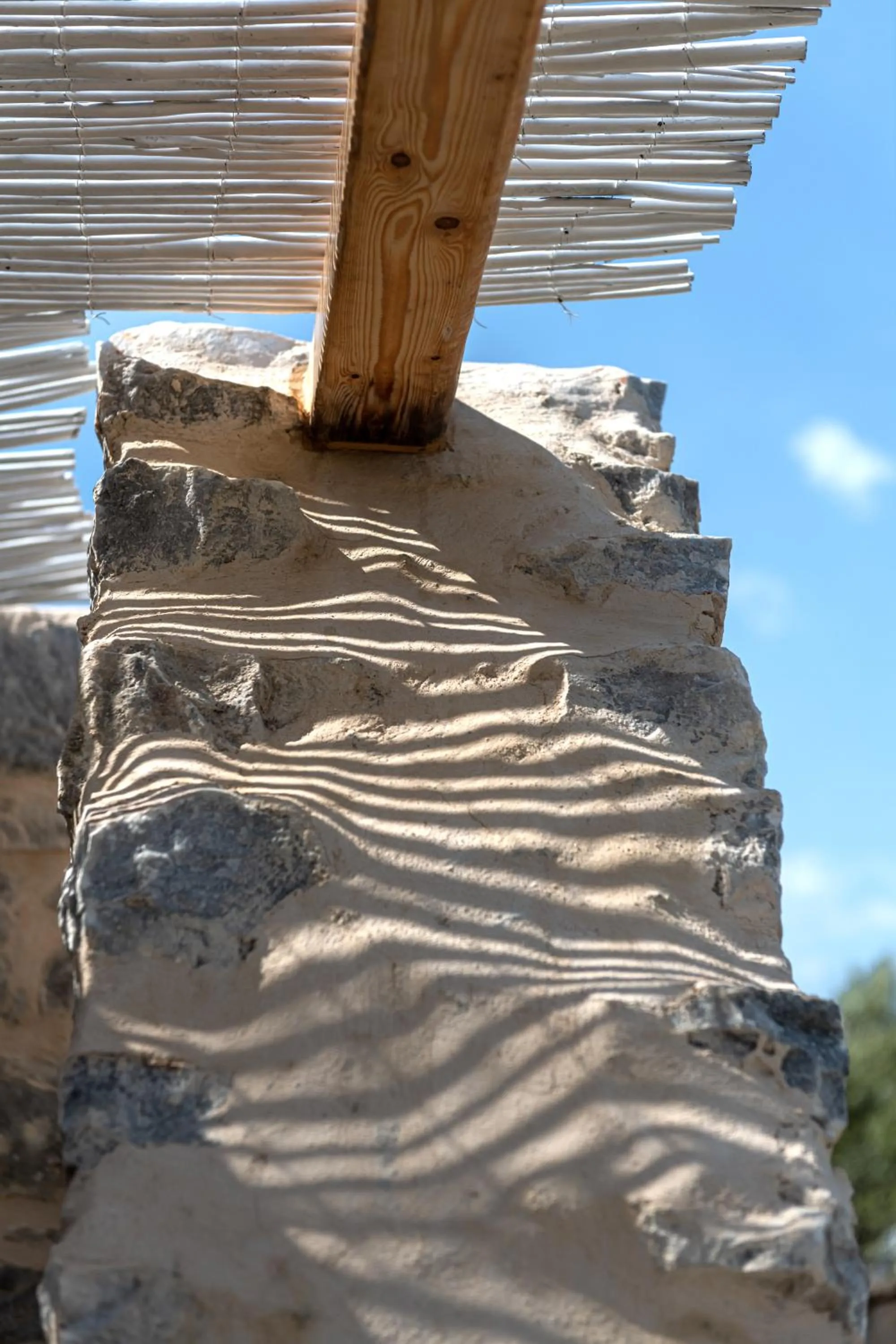 Property building in The Olive Yard