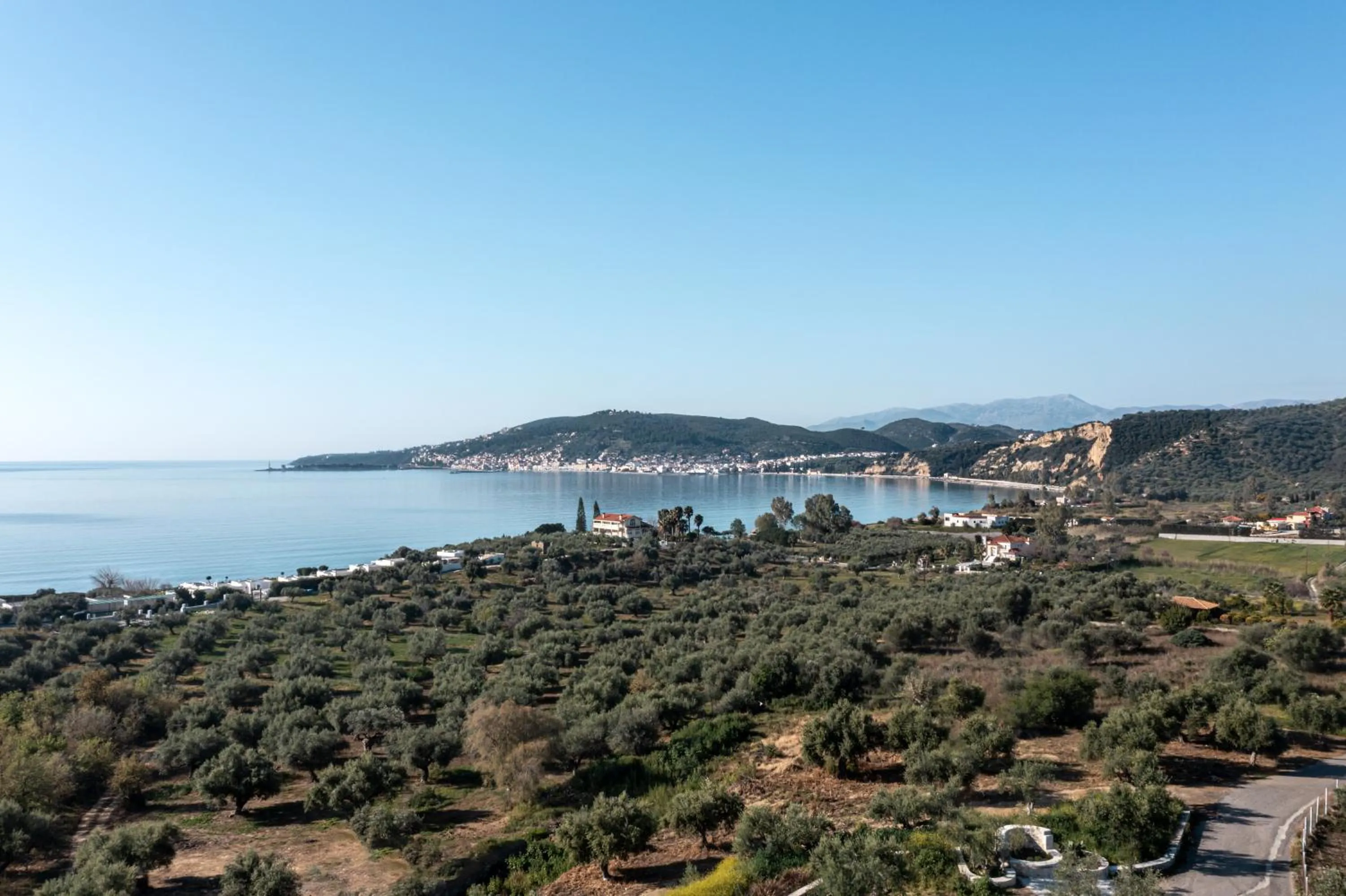 Natural landscape in The Olive Yard