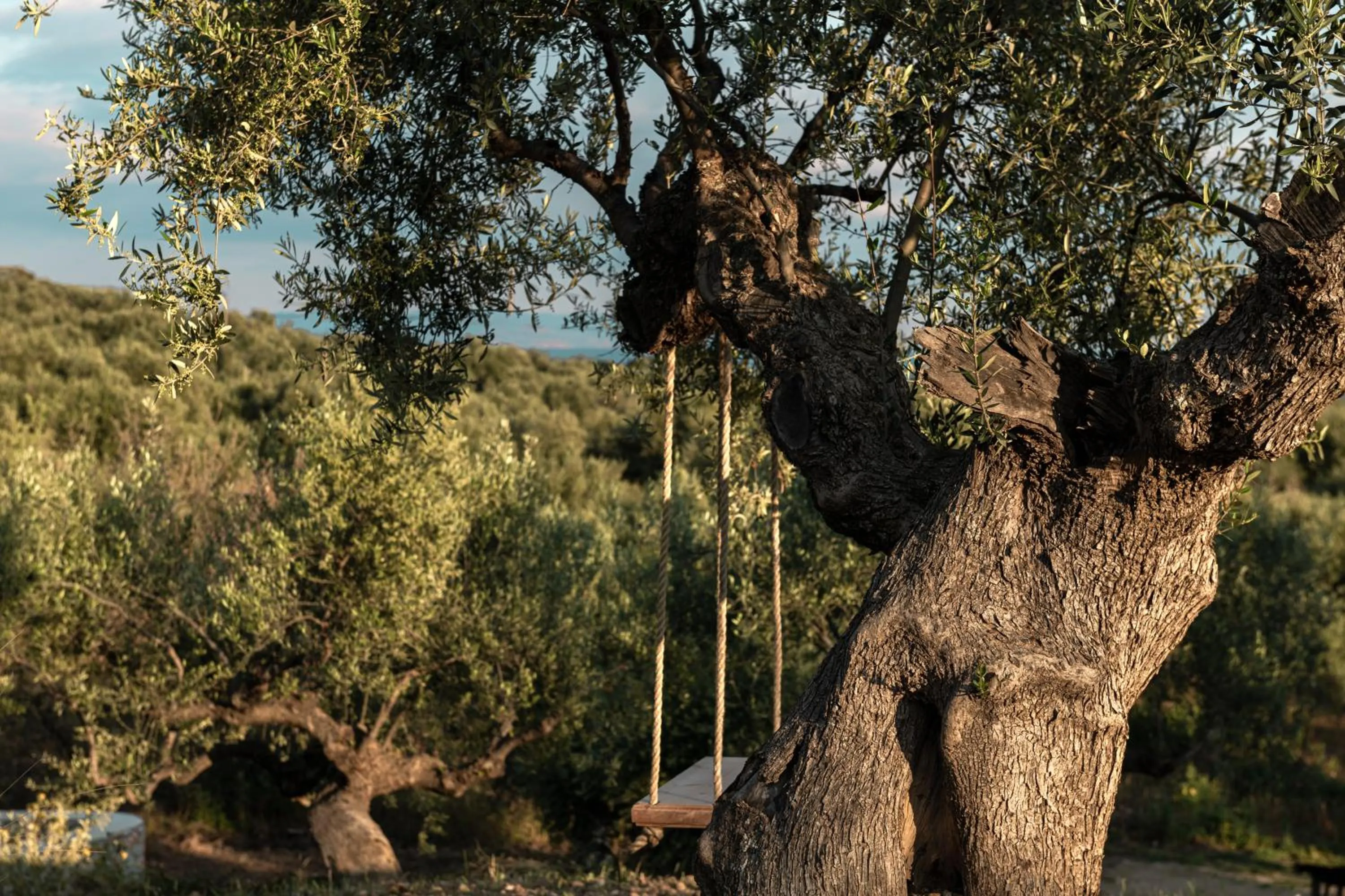 Property building in The Olive Yard