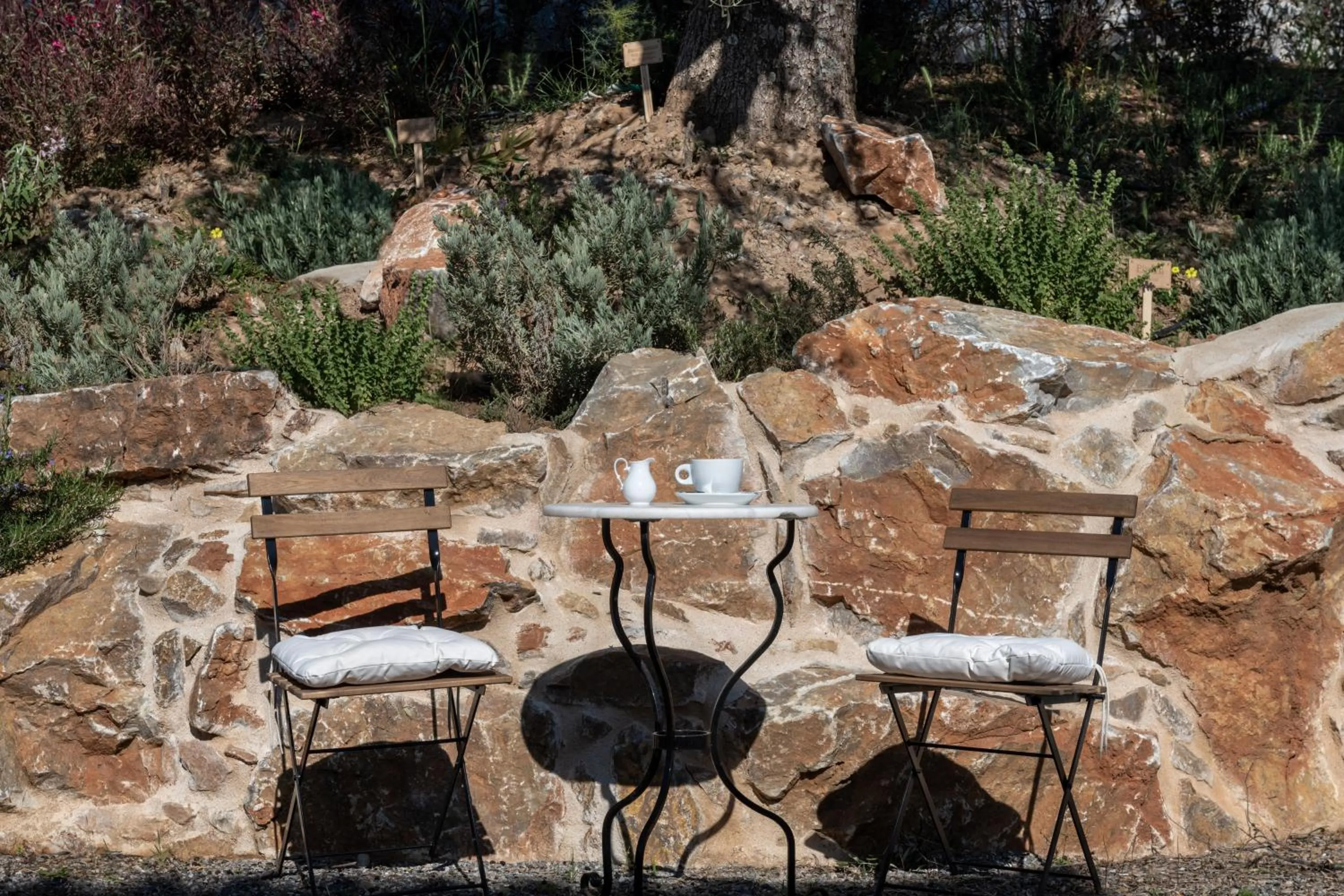 Patio in The Olive Yard