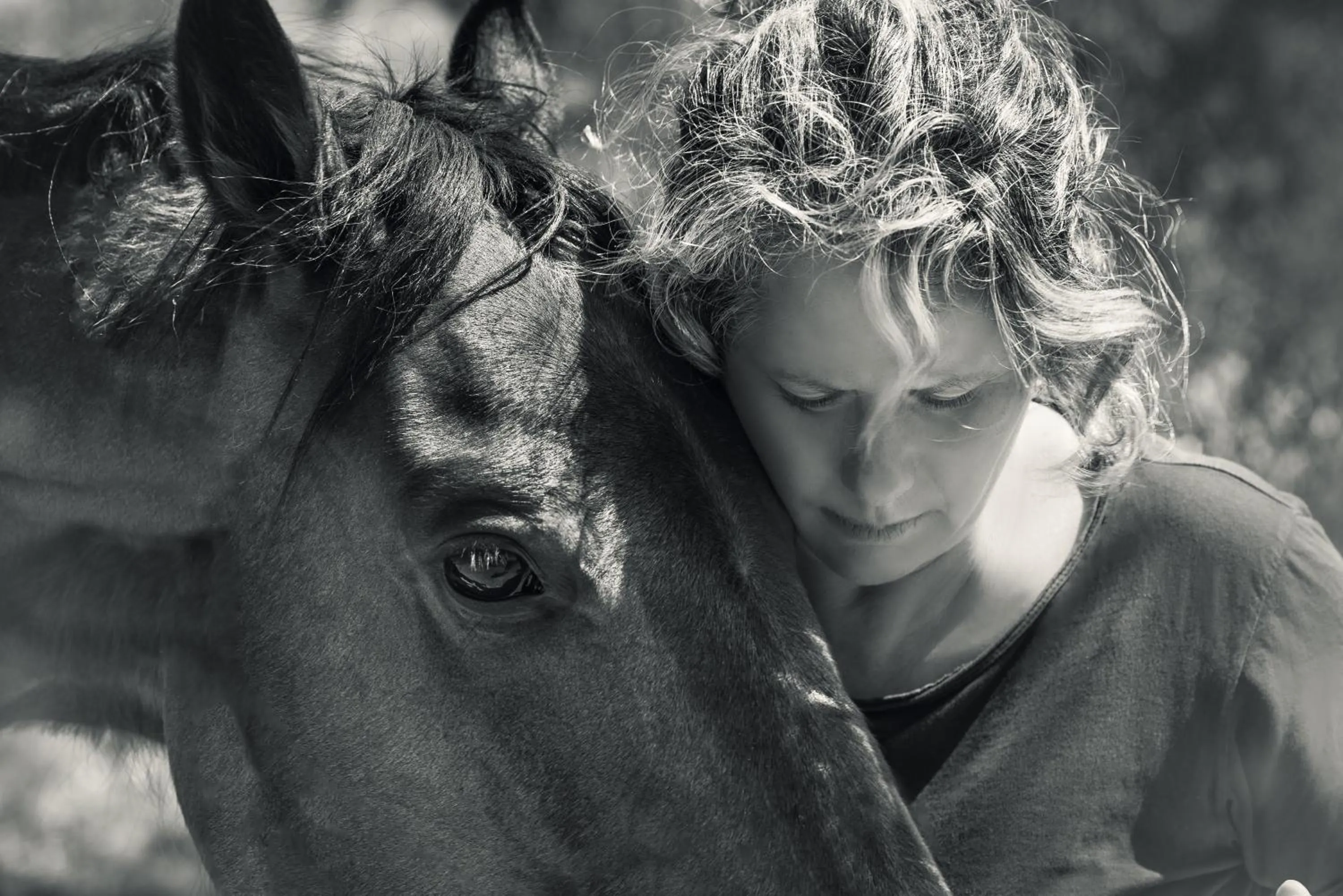 Property building in The Olive Yard