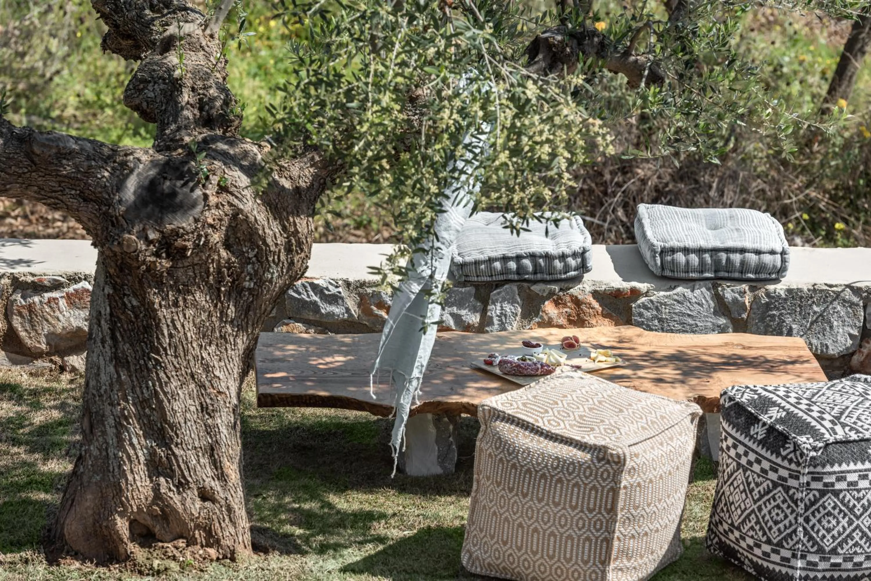 Patio in The Olive Yard