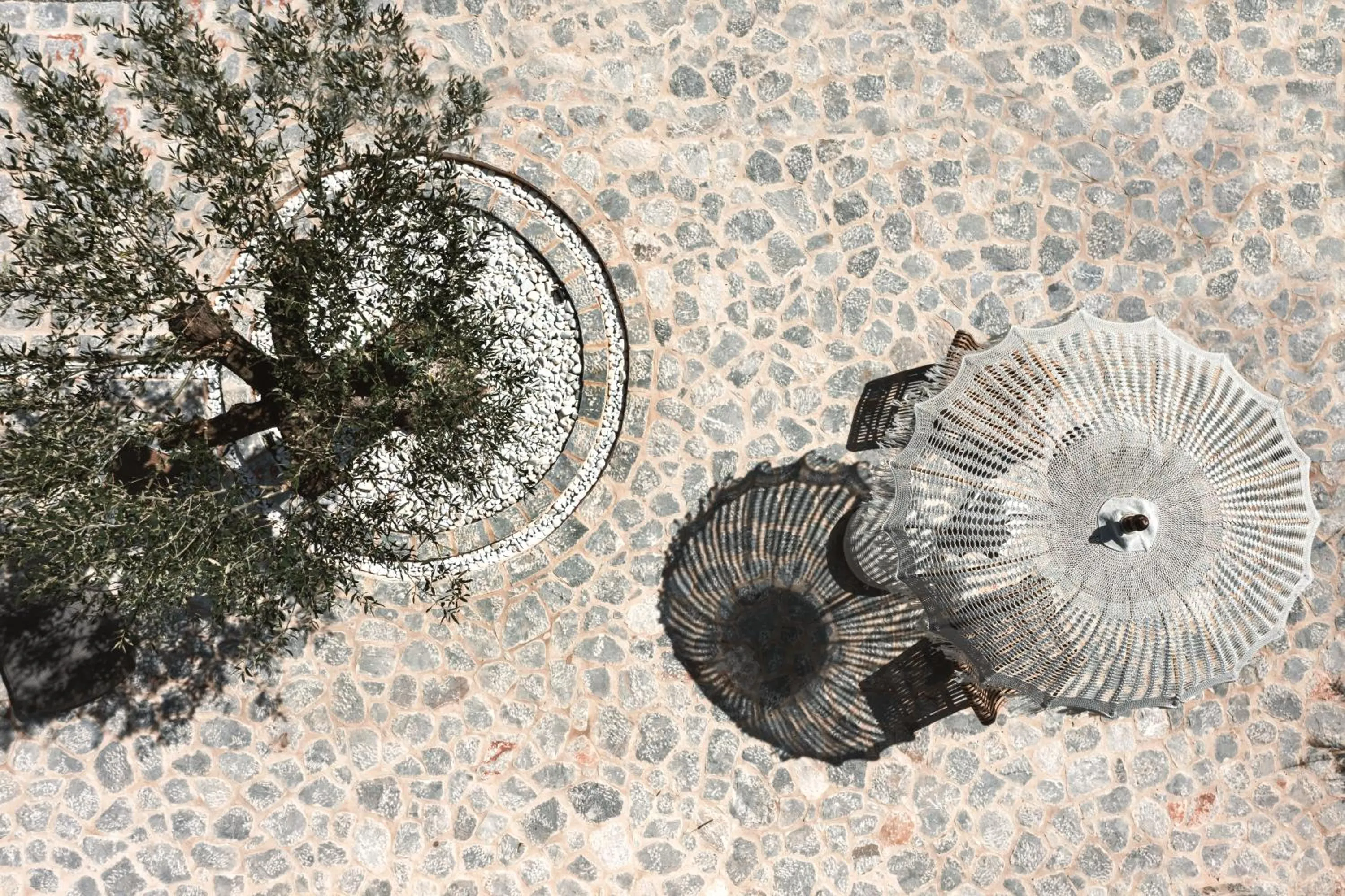 Patio in The Olive Yard